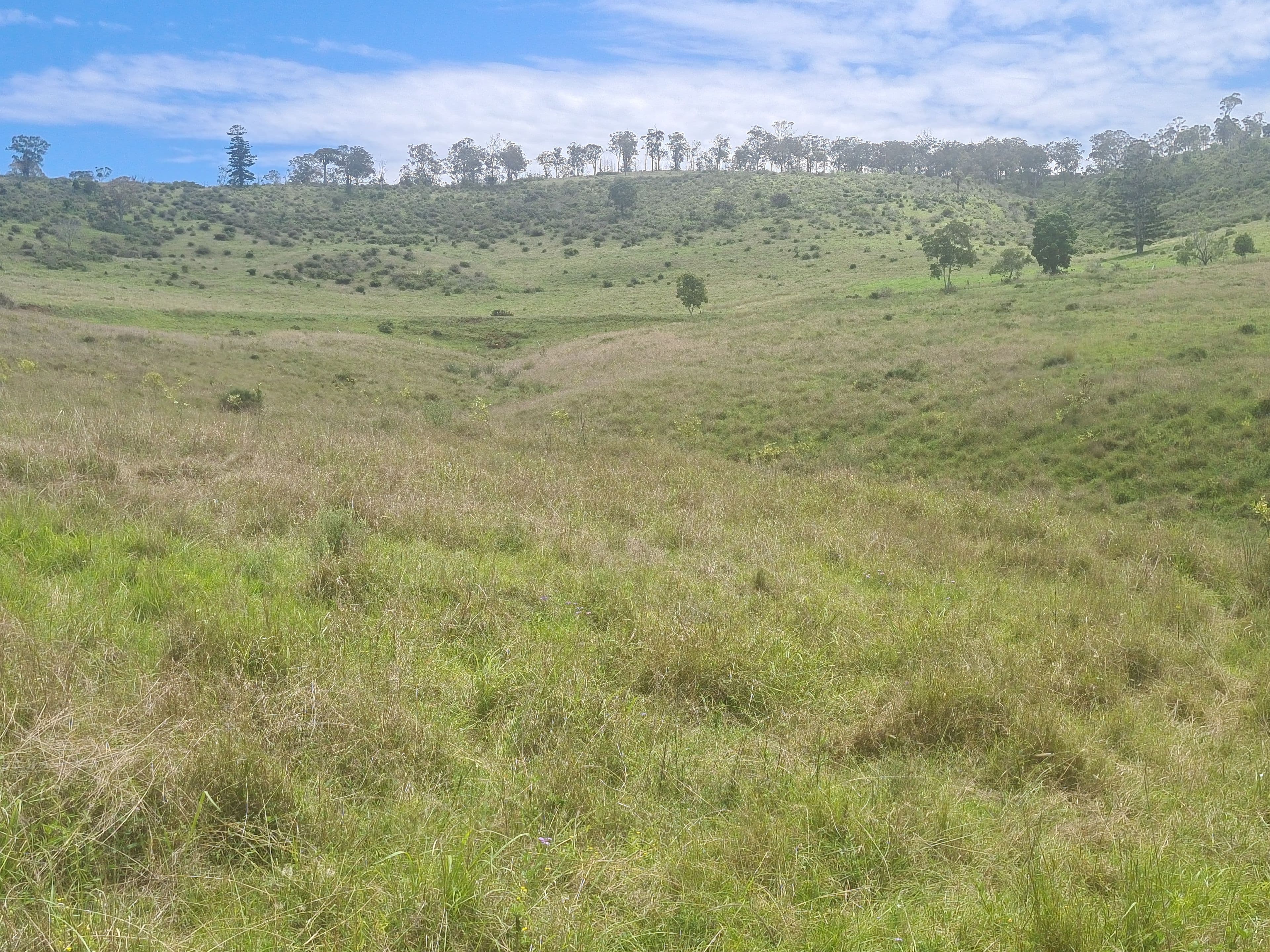 7776 New England Highway, Crows Nest QLD 4355, Crows Nest - Thumbnail 2