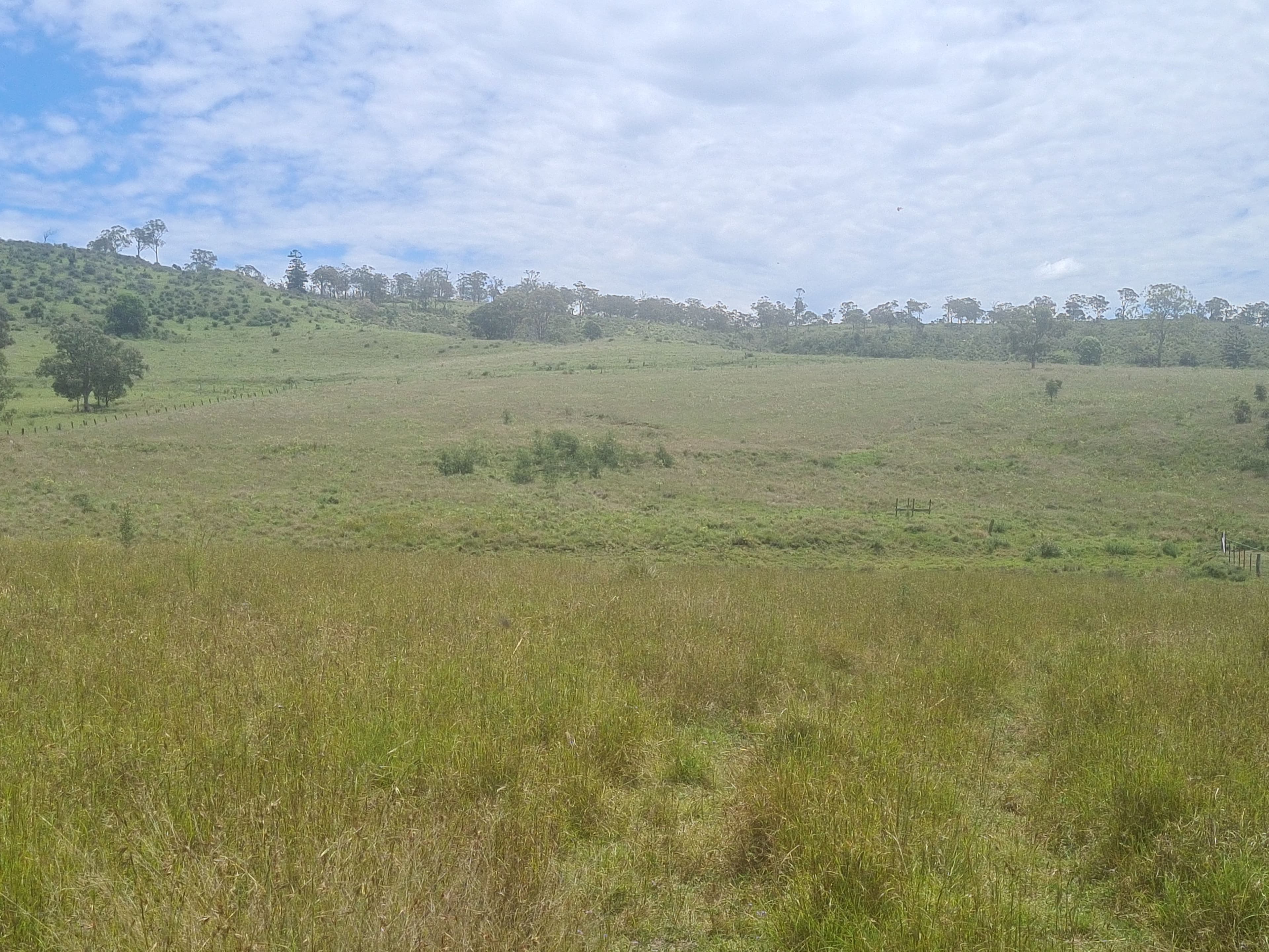 7776 New England Highway, Crows Nest QLD 4355, Crows Nest - Thumbnail 3