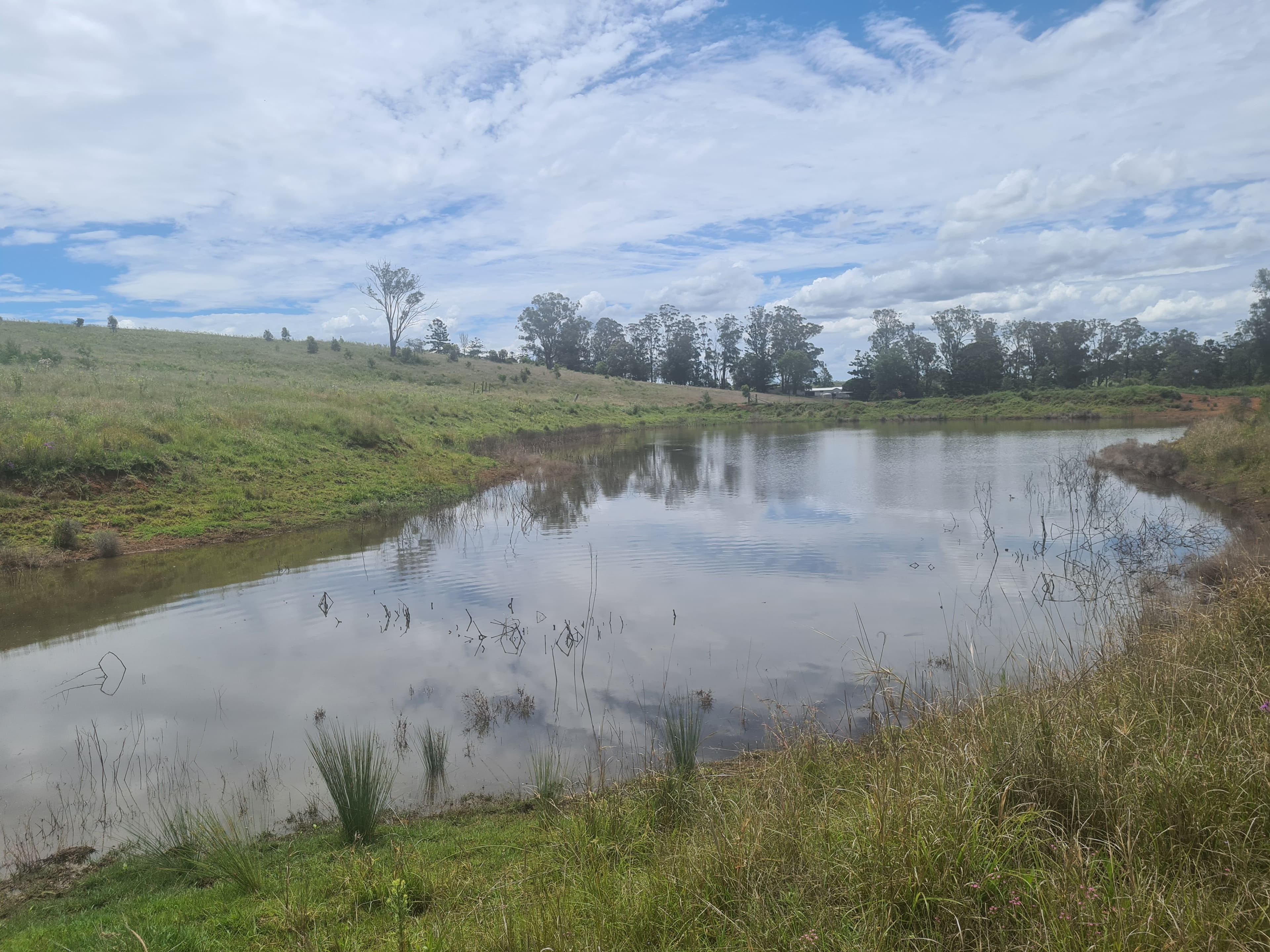 7776 New England Highway, Crows Nest QLD 4355, Crows Nest - Thumbnail 4
