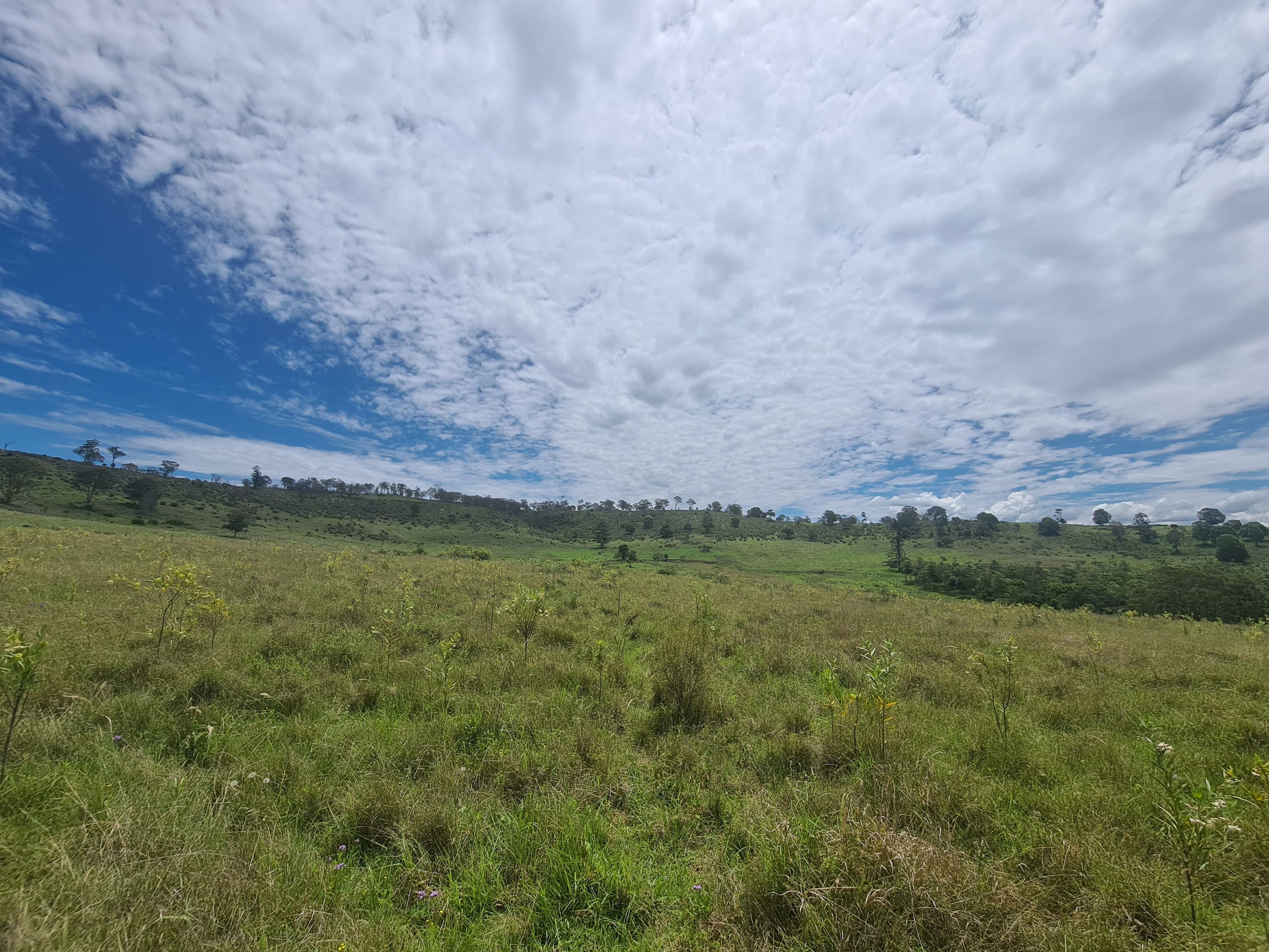 7776 New England Highway, Crows Nest QLD 4355, Crows Nest - Thumbnail 7