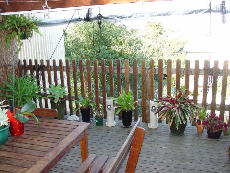 368 Livingstone Road, MARRICKVILLE NSW 2204, Marrickville - Thumbnail 6