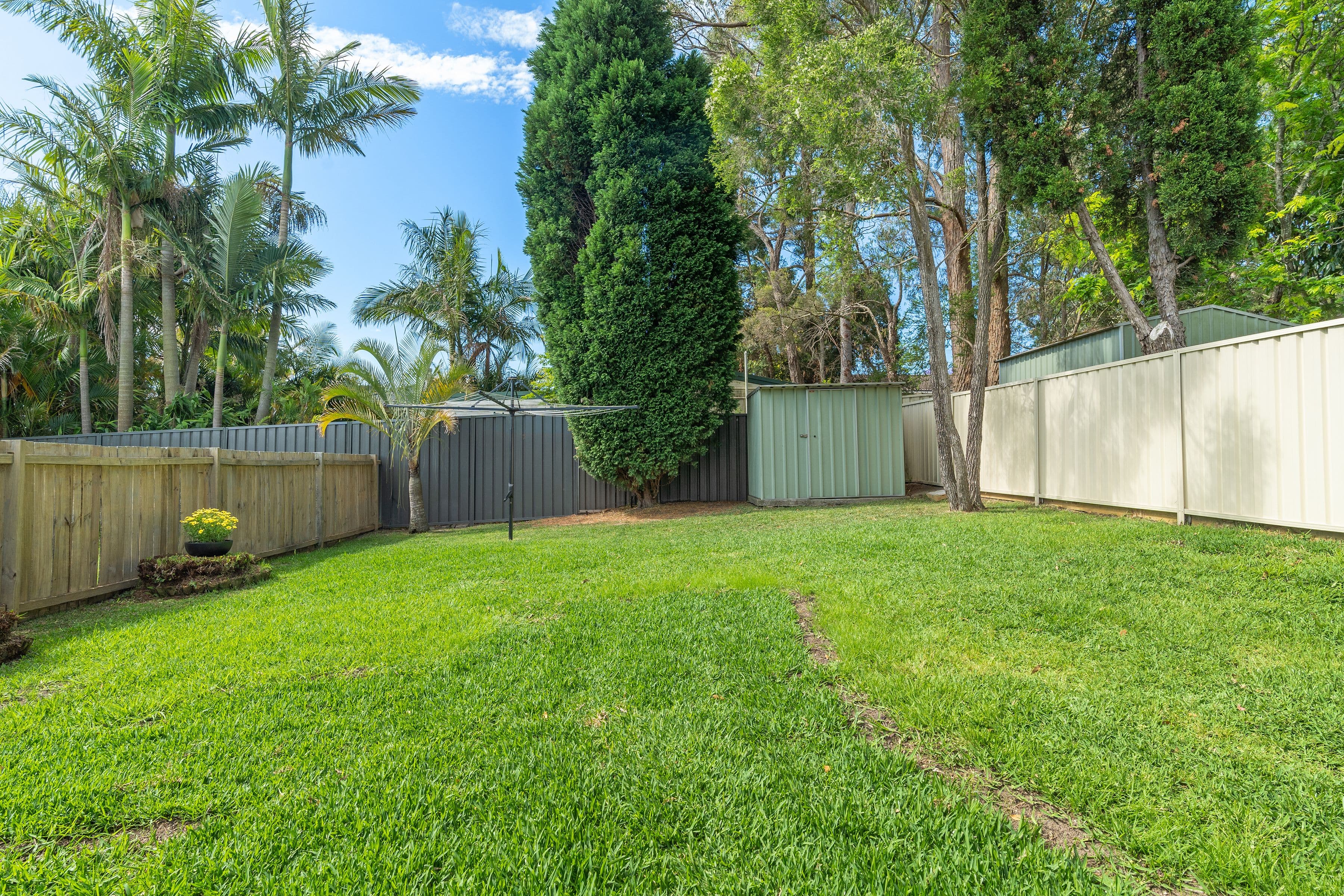 19 Wood Street, Bonnells Bay NSW 2264, Bonnells Bay - Thumbnail 5