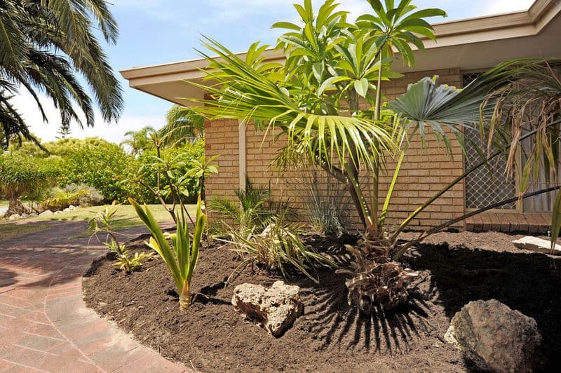 9 Tweed Close, WARNBRO WA 6169, Warnbro - Thumbnail 6