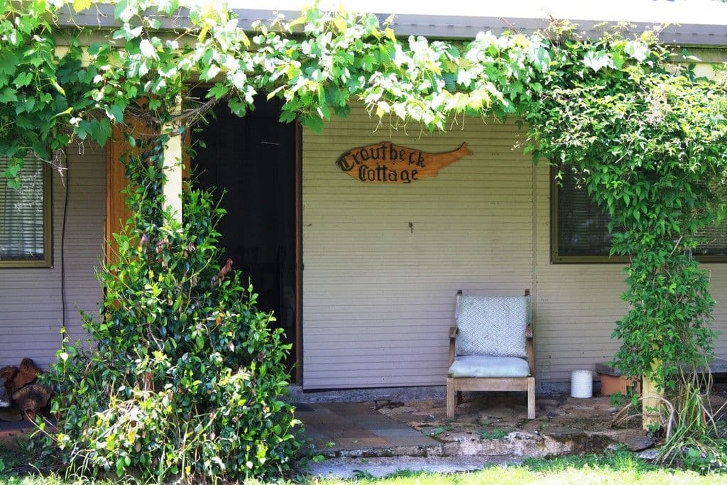 11682 Waterfall Way, Ebor NSW 2453, Ebor - Thumbnail 5