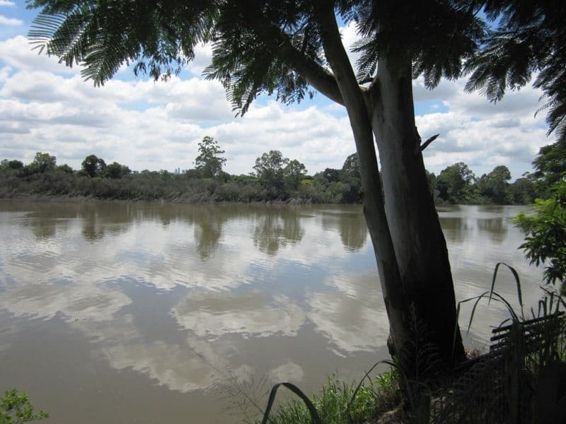 11 King Arthur Terrace, TENNYSON QLD 4105, Tennyson - Thumbnail 2