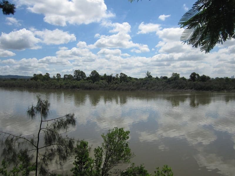 11 King Arthur Terrace, TENNYSON QLD 4105, Tennyson - Thumbnail 4