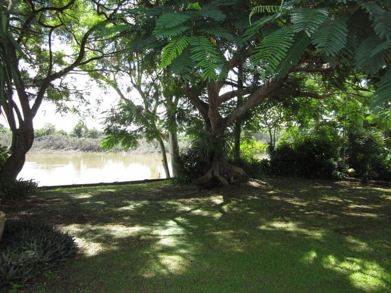 11 King Arthur Terrace, TENNYSON QLD 4105, Tennyson - Thumbnail 5