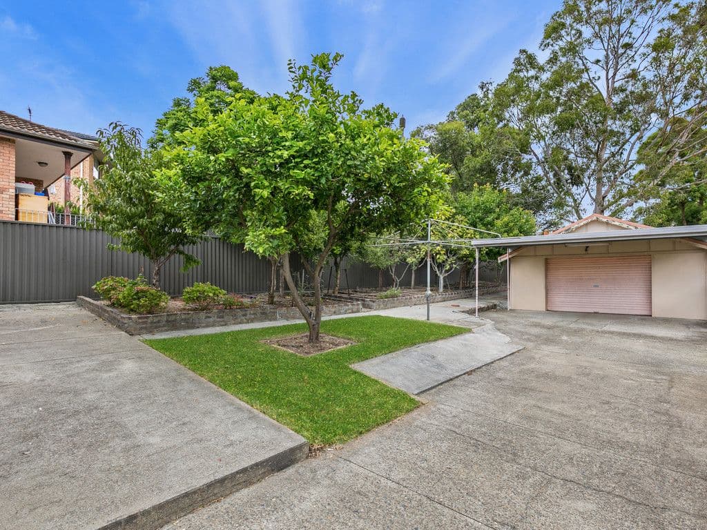 43 Nelson Road, Earlwood - Thumbnail 4