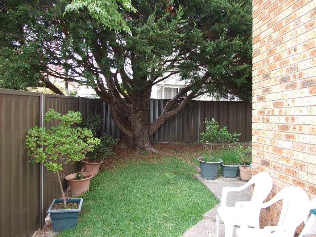 20 New Street, Ulladulla NSW 2539, Ulladulla - Thumbnail 3