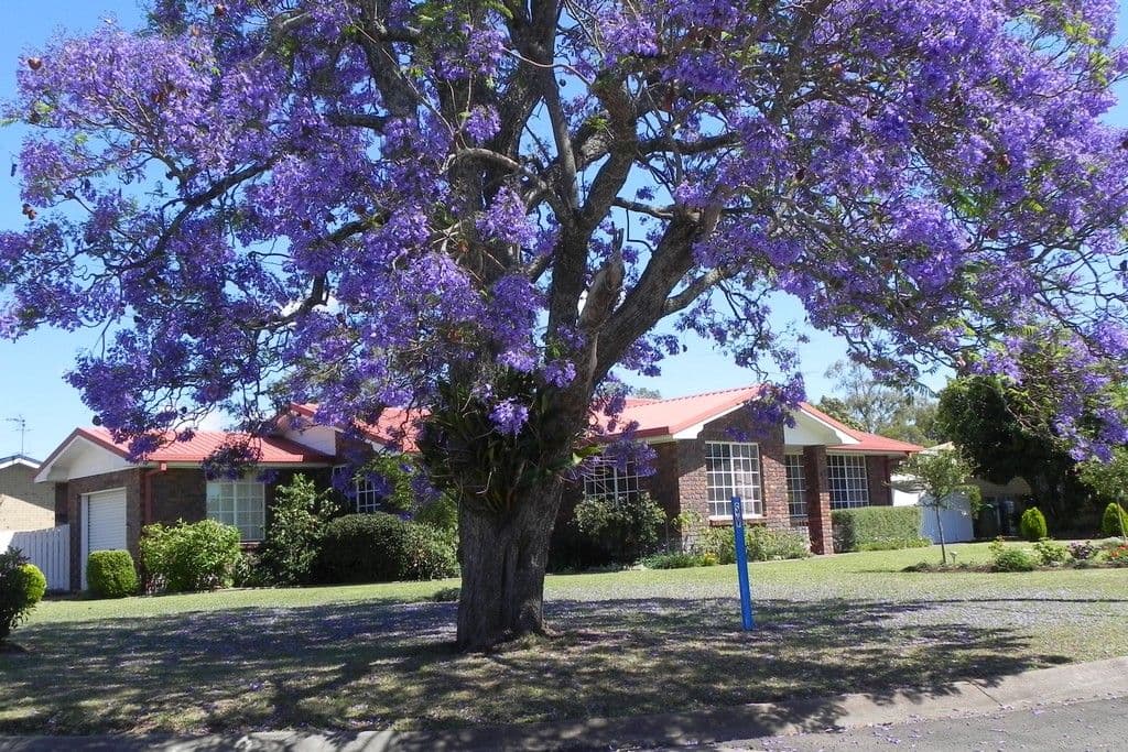 2 White, PITTSWORTH QLD 4356, Pittsworth - Image 1