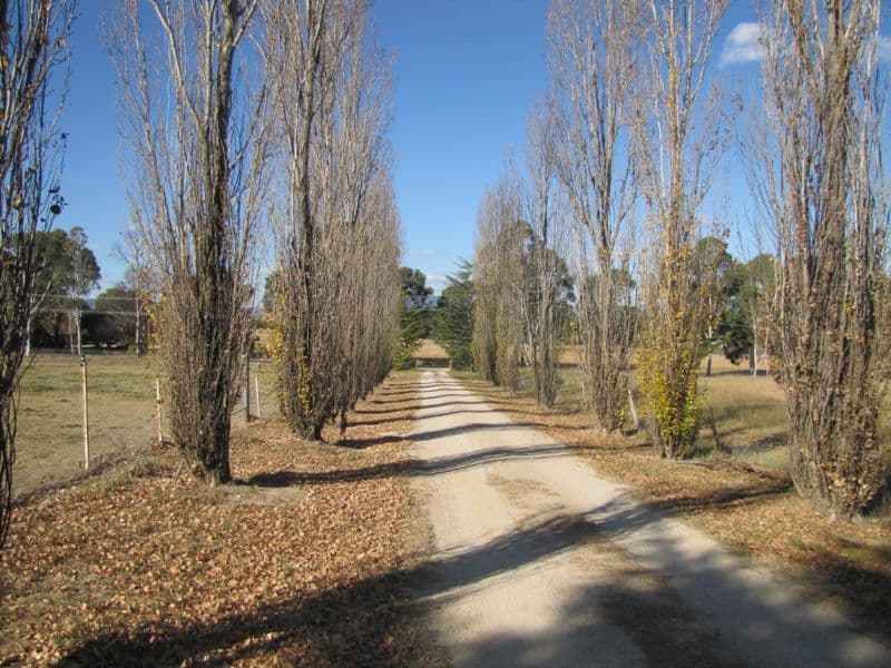 43 Rayburn Drive, BATHURST NSW 2795, Bathurst - Thumbnail 4