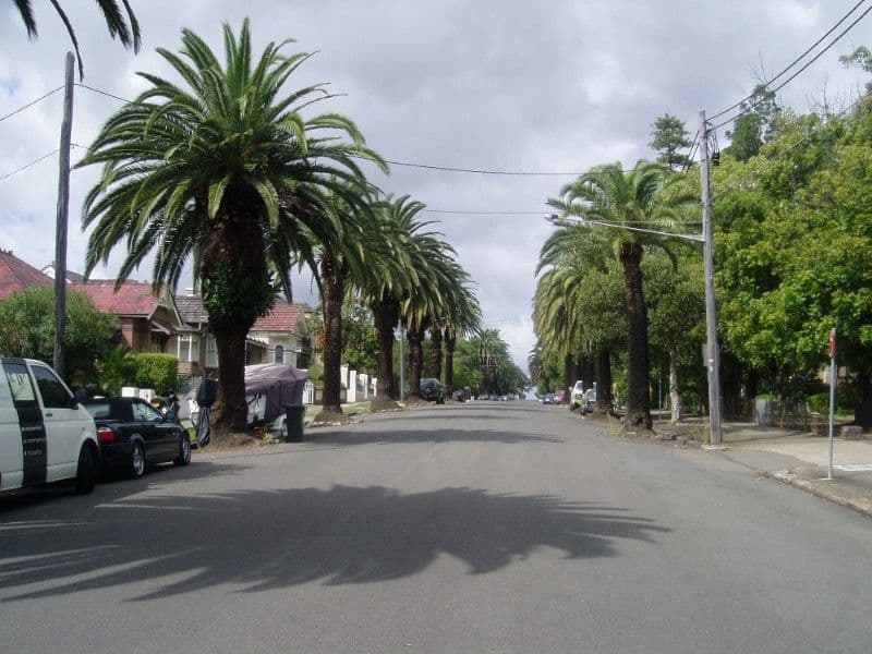 96 Victoria Street, ASHFIELD NSW 2131, Ashfield - Thumbnail 3
