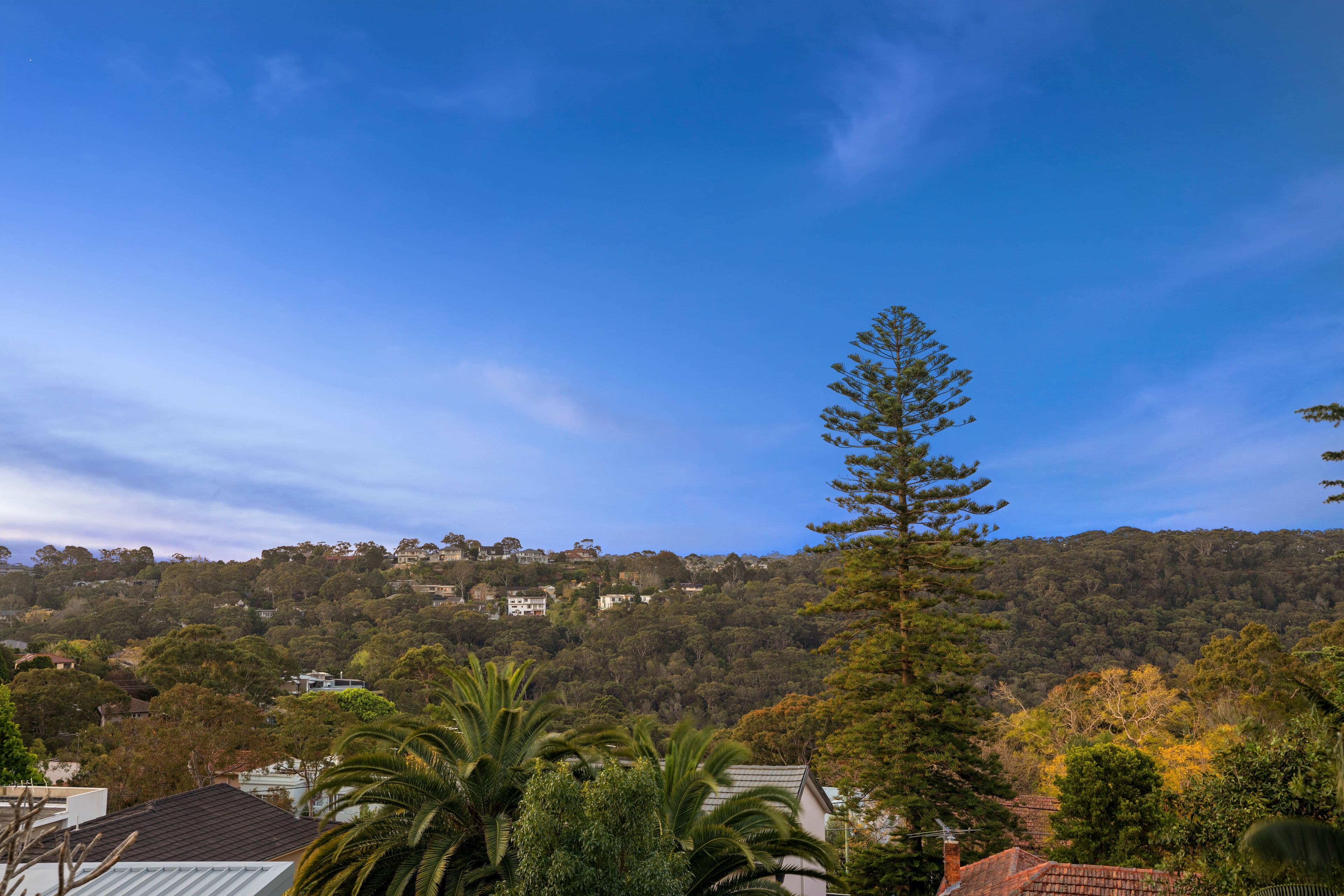 13 Edith Street, Castlecrag NSW 2068, Castlecrag - Thumbnail 5