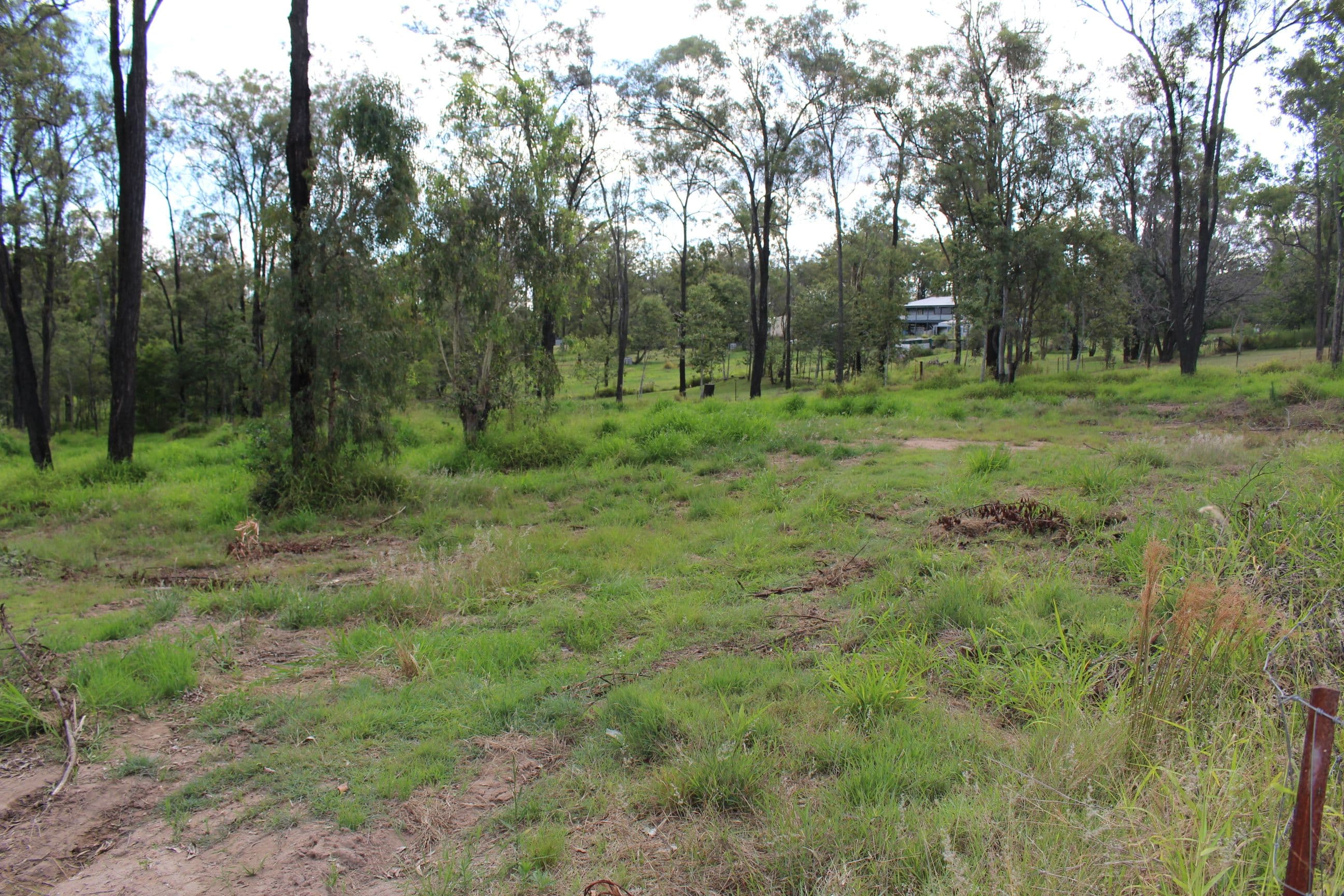 8A Bertrand Avenue, Regency Downs QLD 4341, Regency Downs - Thumbnail 5