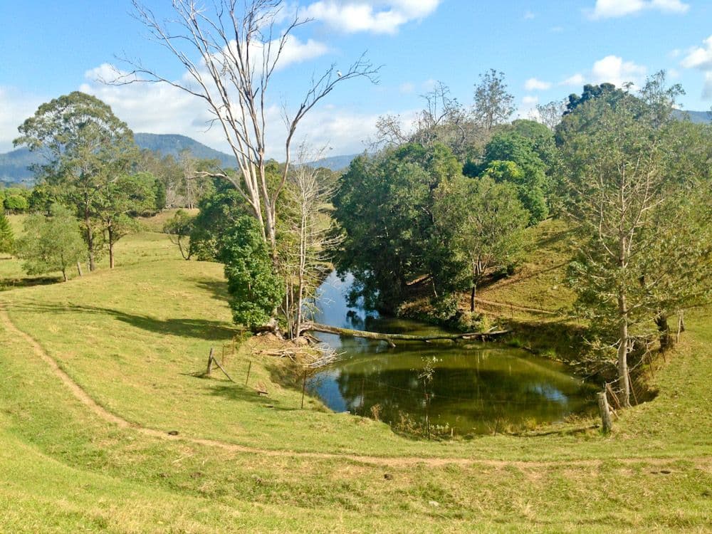 Lot 202 Rive Court, WIGHTS MOUNTAIN QLD 4520, Wights Mountain - Thumbnail 4
