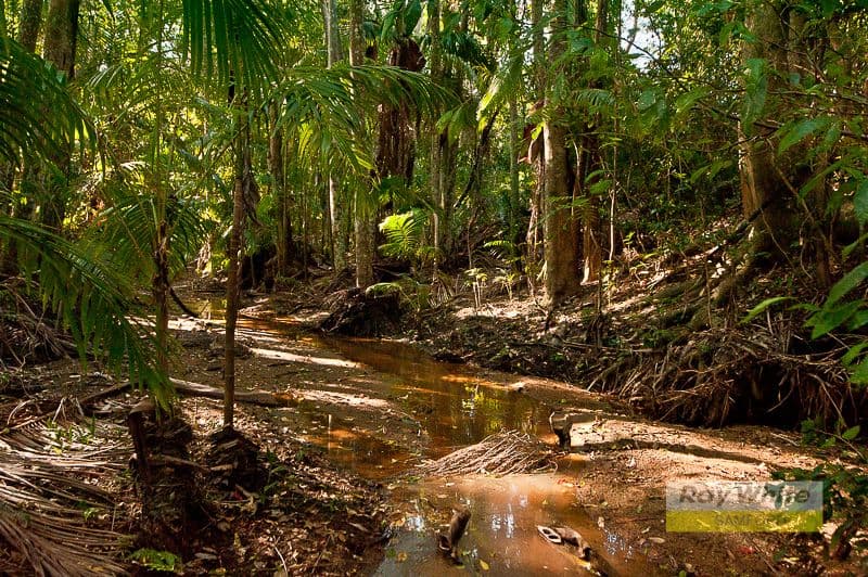Lot 202 Rive Court, WIGHTS MOUNTAIN QLD 4520, Wights Mountain - Thumbnail 7