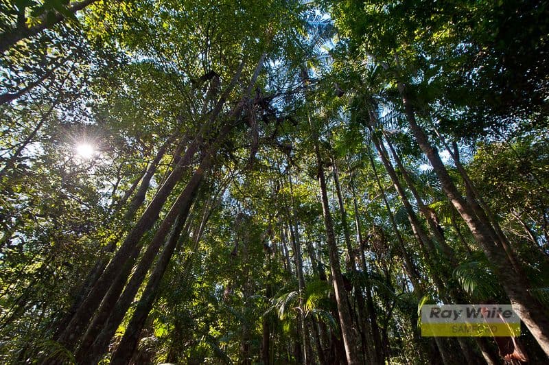 Lot 202 Rive Court, WIGHTS MOUNTAIN QLD 4520, Wights Mountain - Thumbnail 8
