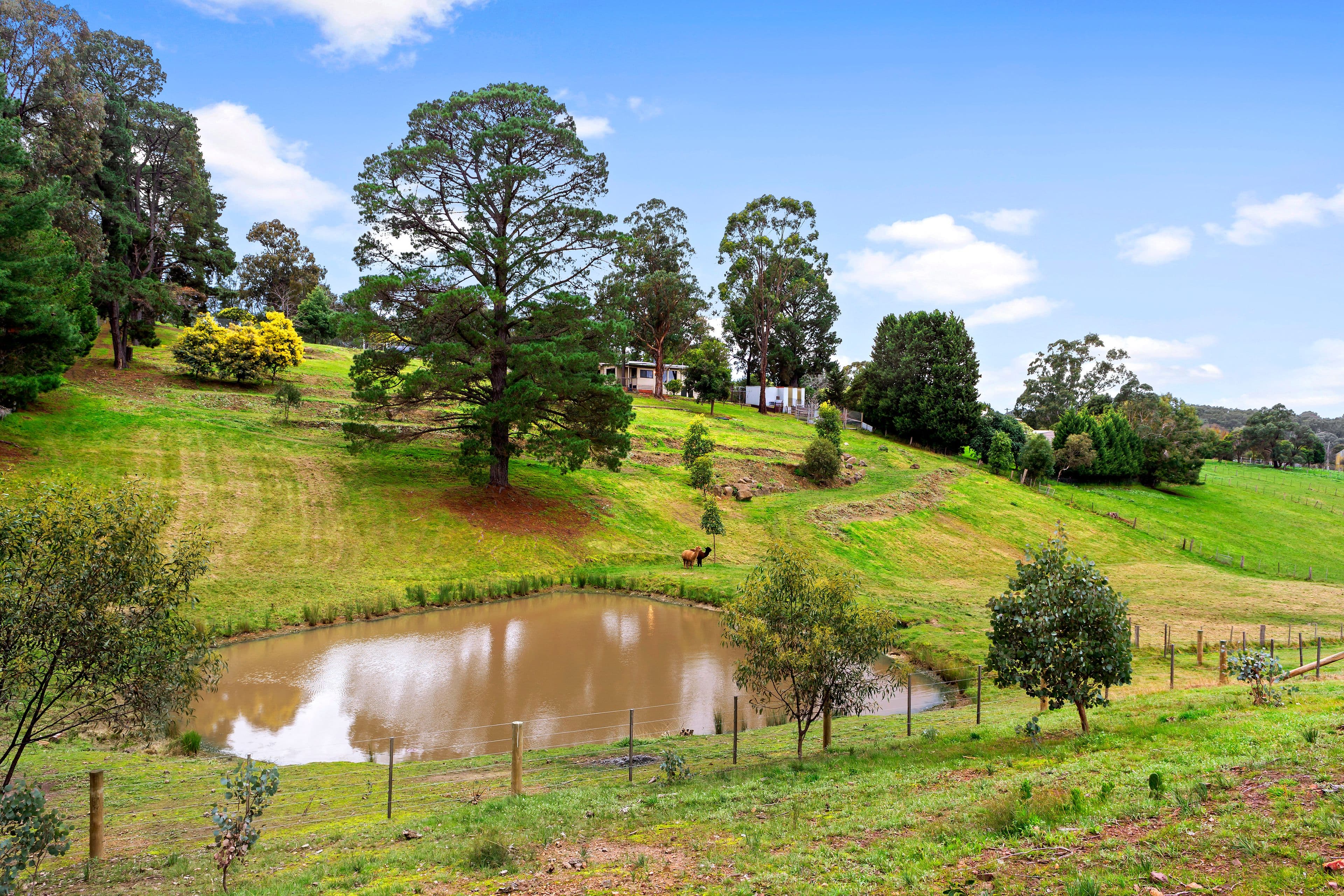 48 Collins Lane, Yarrambat VIC 3091, Yarrambat - Thumbnail 2