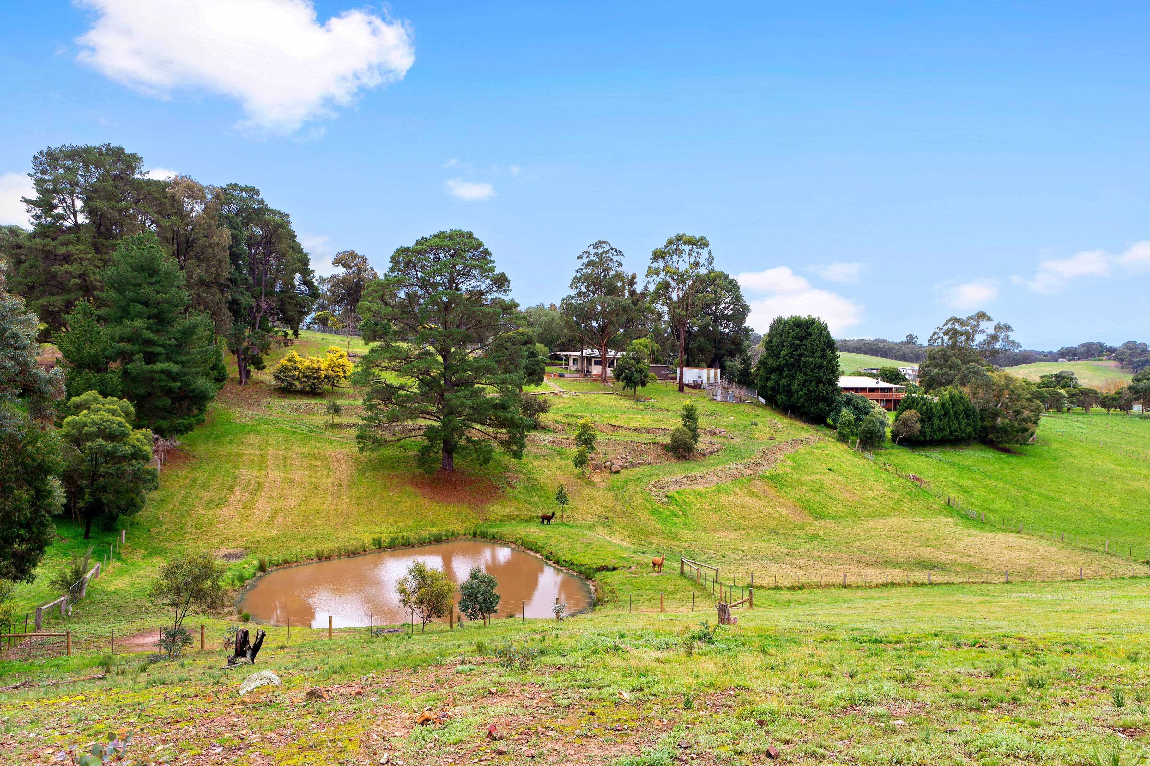 48 Collins Lane, Yarrambat VIC 3091, Yarrambat - Thumbnail 4