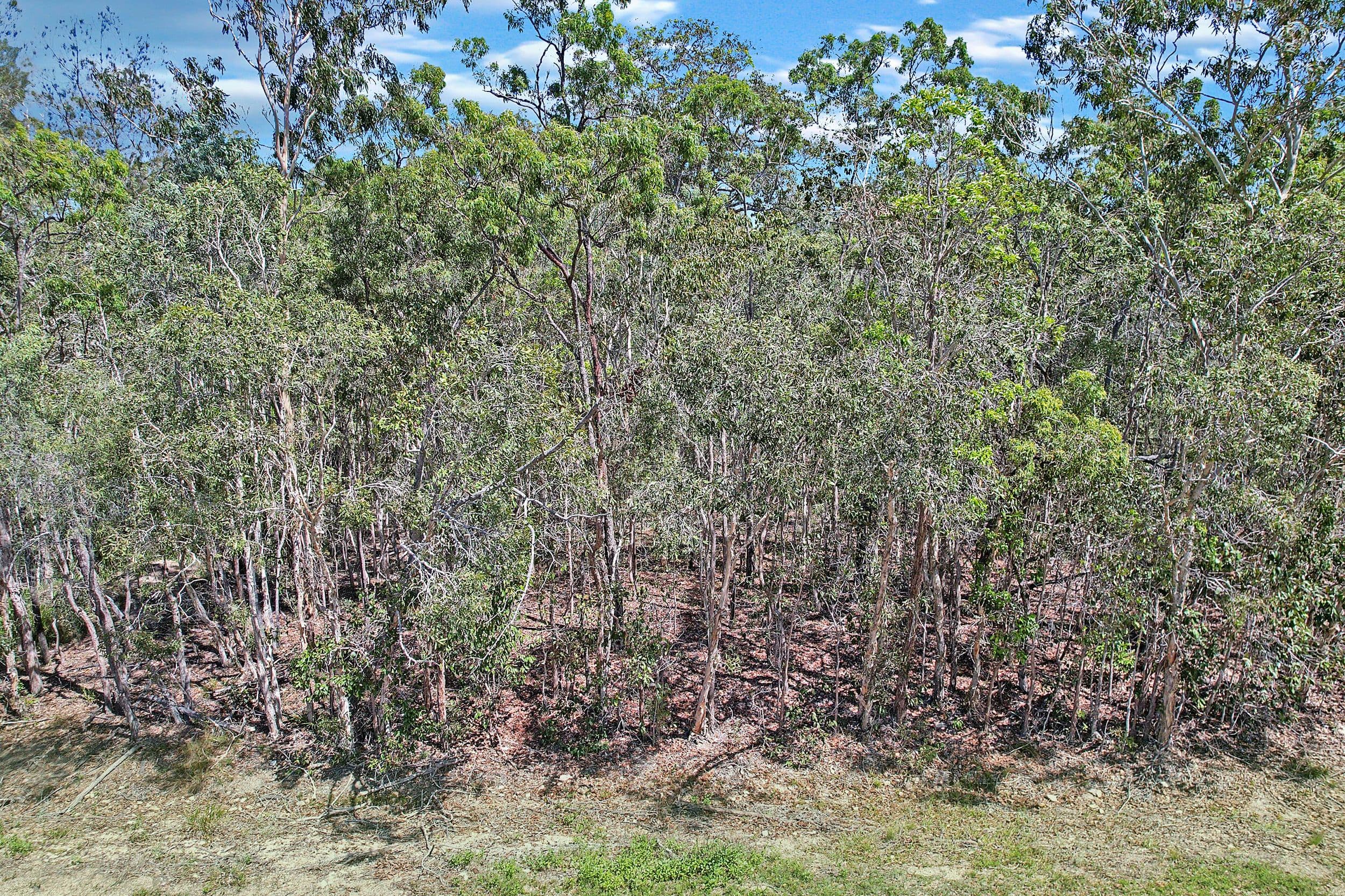 Lot 299 Masthead Drive, Agnes Water QLD 4677, Agnes Water - Thumbnail 3