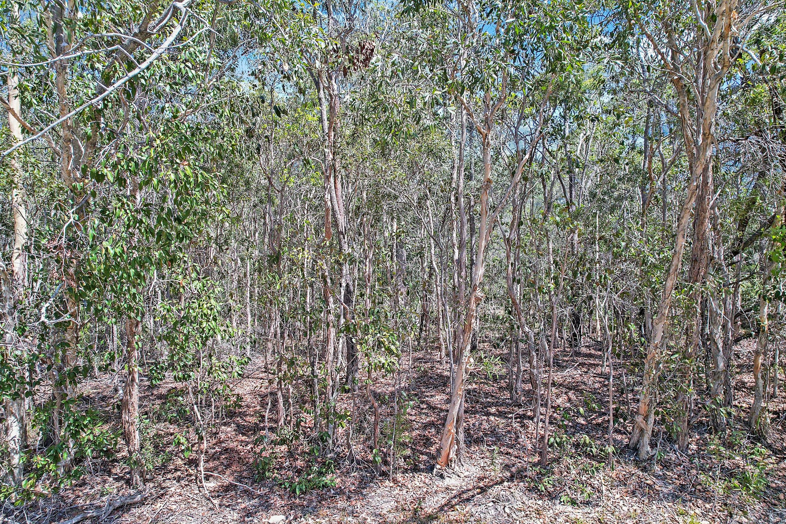 Lot 299 Masthead Drive, Agnes Water QLD 4677, Agnes Water - Thumbnail 6