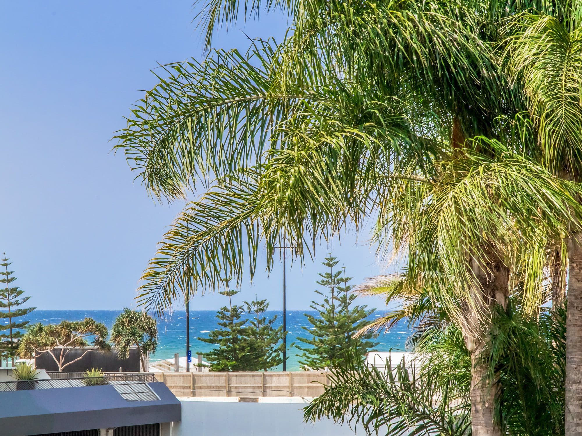 24 Trickett Street, Surfers Paradise QLD 4217, Surfers Paradise - Thumbnail 3