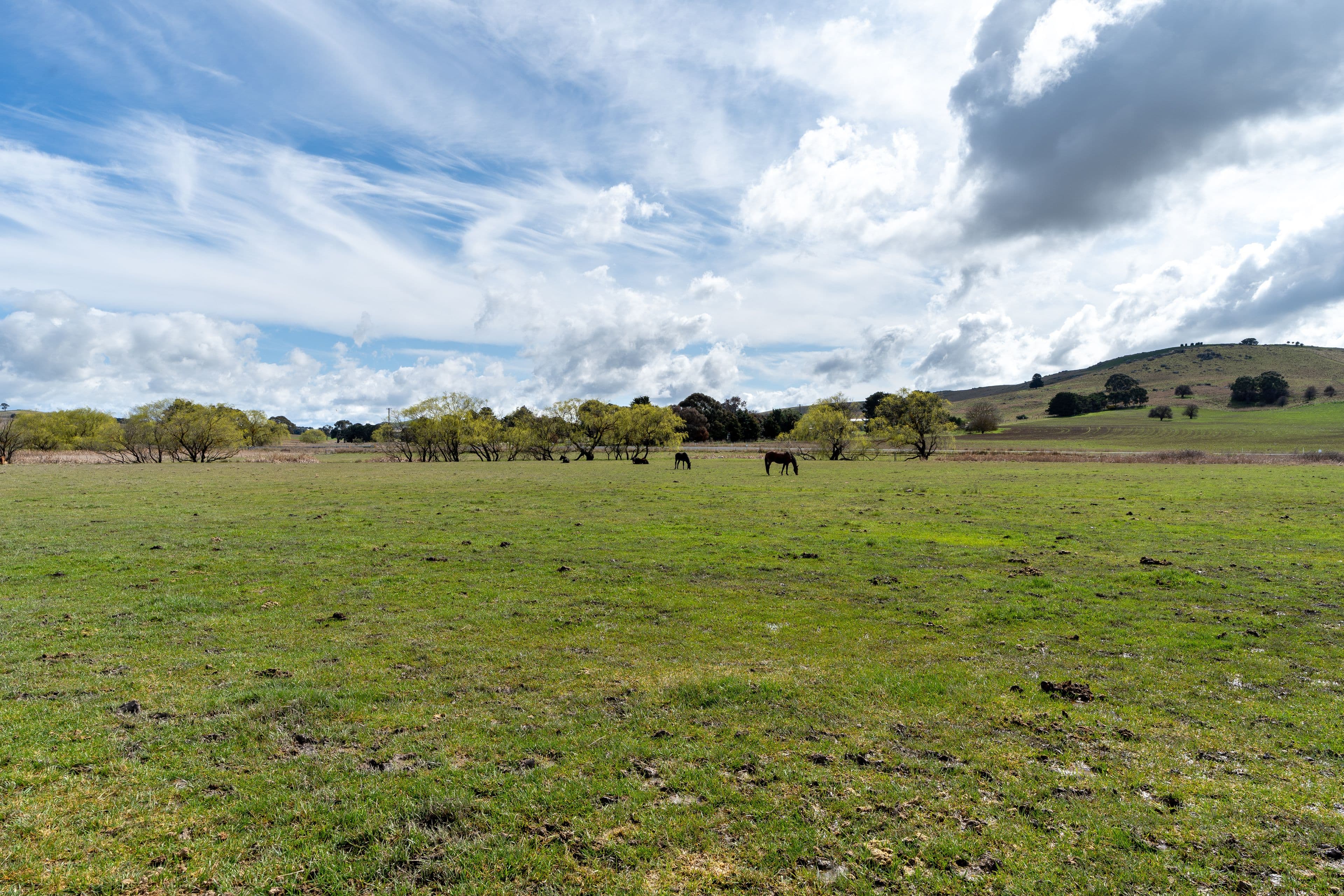 18 Graham Road, Blayney NSW 2799, Blayney - Thumbnail 4