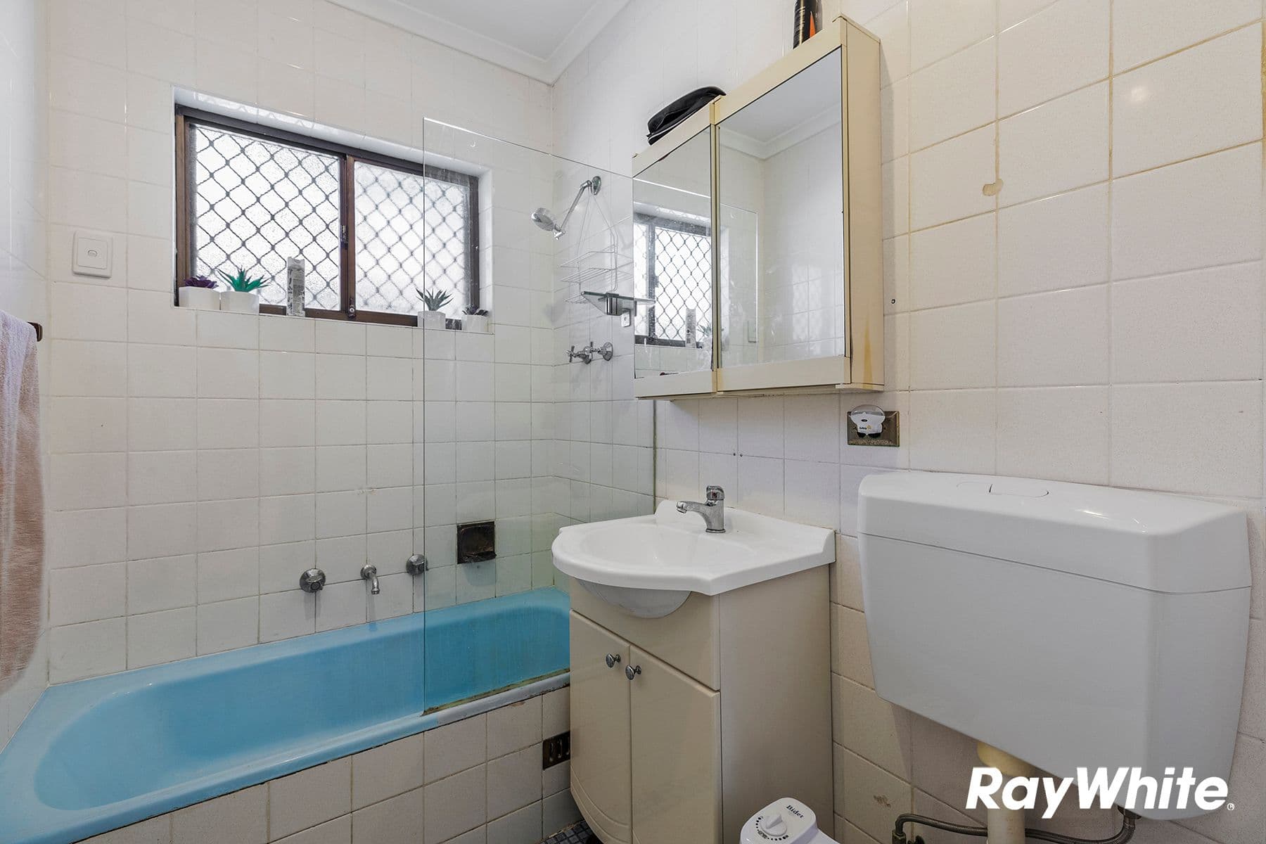 12 Nelson Avenue, Belmore NSW 2192, Belmore - Thumbnail 5