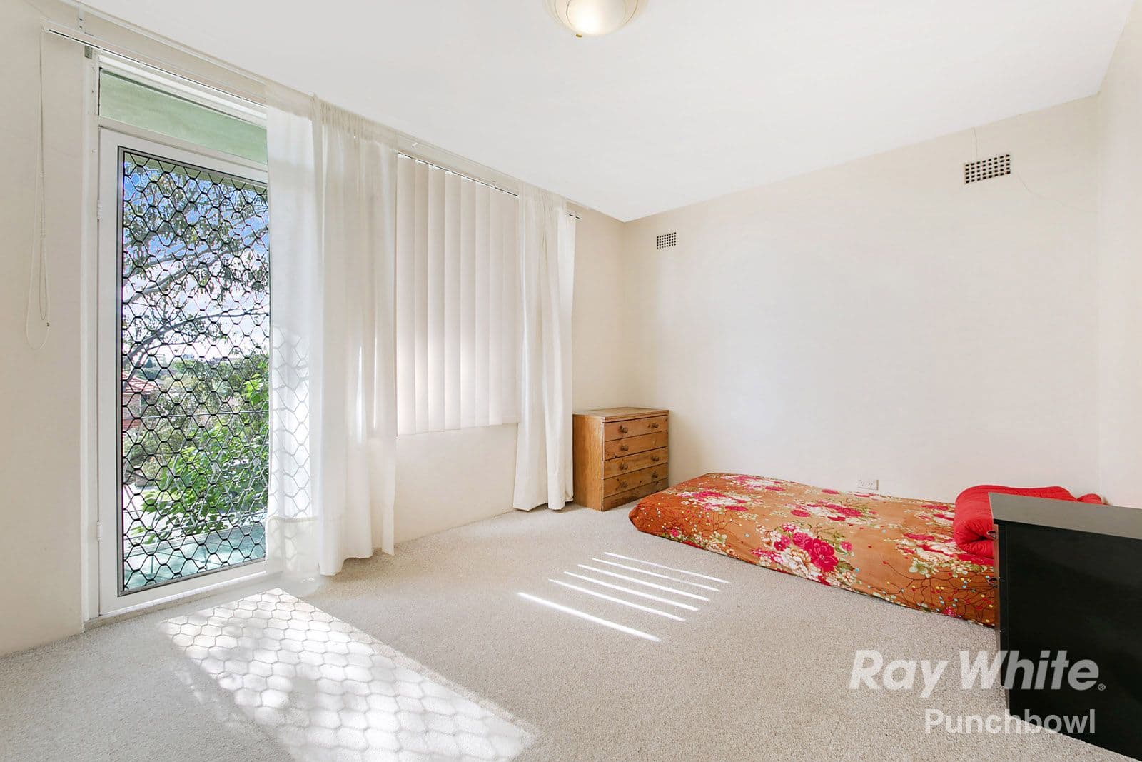 55 Alice Street, Wiley Park NSW 2195, Wiley Park - Thumbnail 2