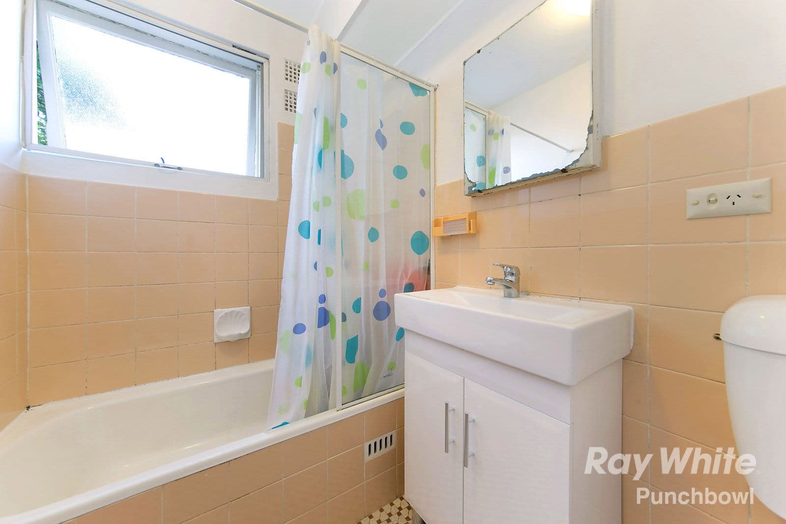 55 Alice Street, Wiley Park NSW 2195, Wiley Park - Thumbnail 5