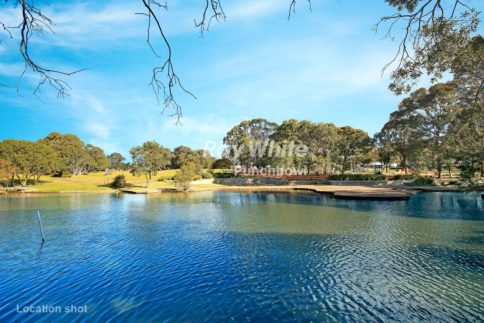 55 Alice Street, Wiley Park NSW 2195, Wiley Park - Thumbnail 6