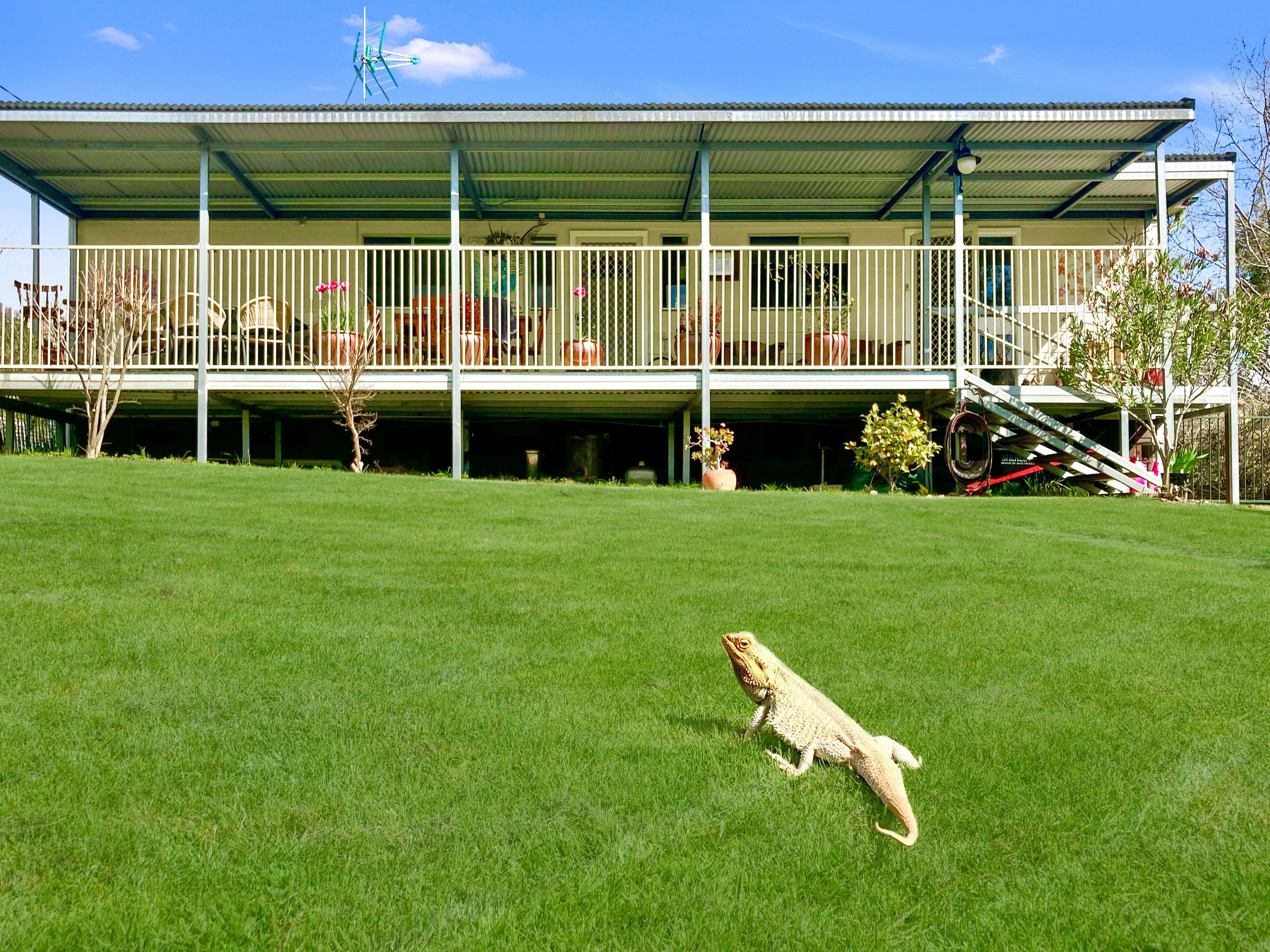 16 Day Street, Talbingo NSW 2720, Talbingo - Image 1