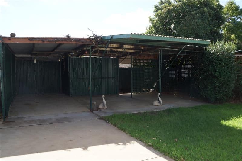 4 Frith Street, Dubbo NSW 2830, Dubbo - Thumbnail 4