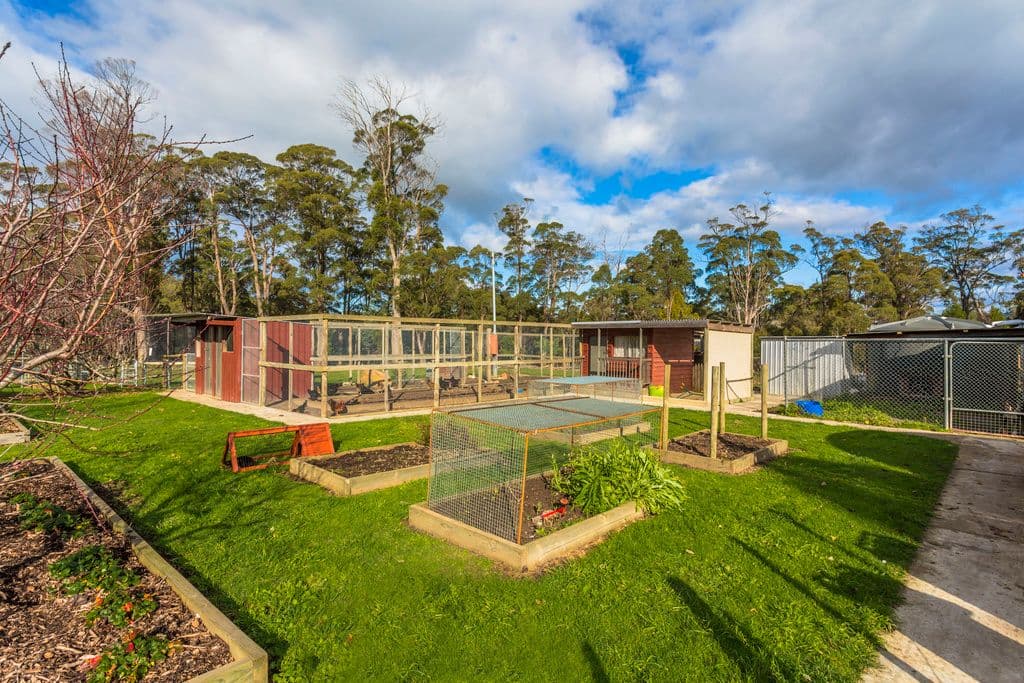 155 Motor Road, DEVIOT TAS 7275, Deviot - Thumbnail 5