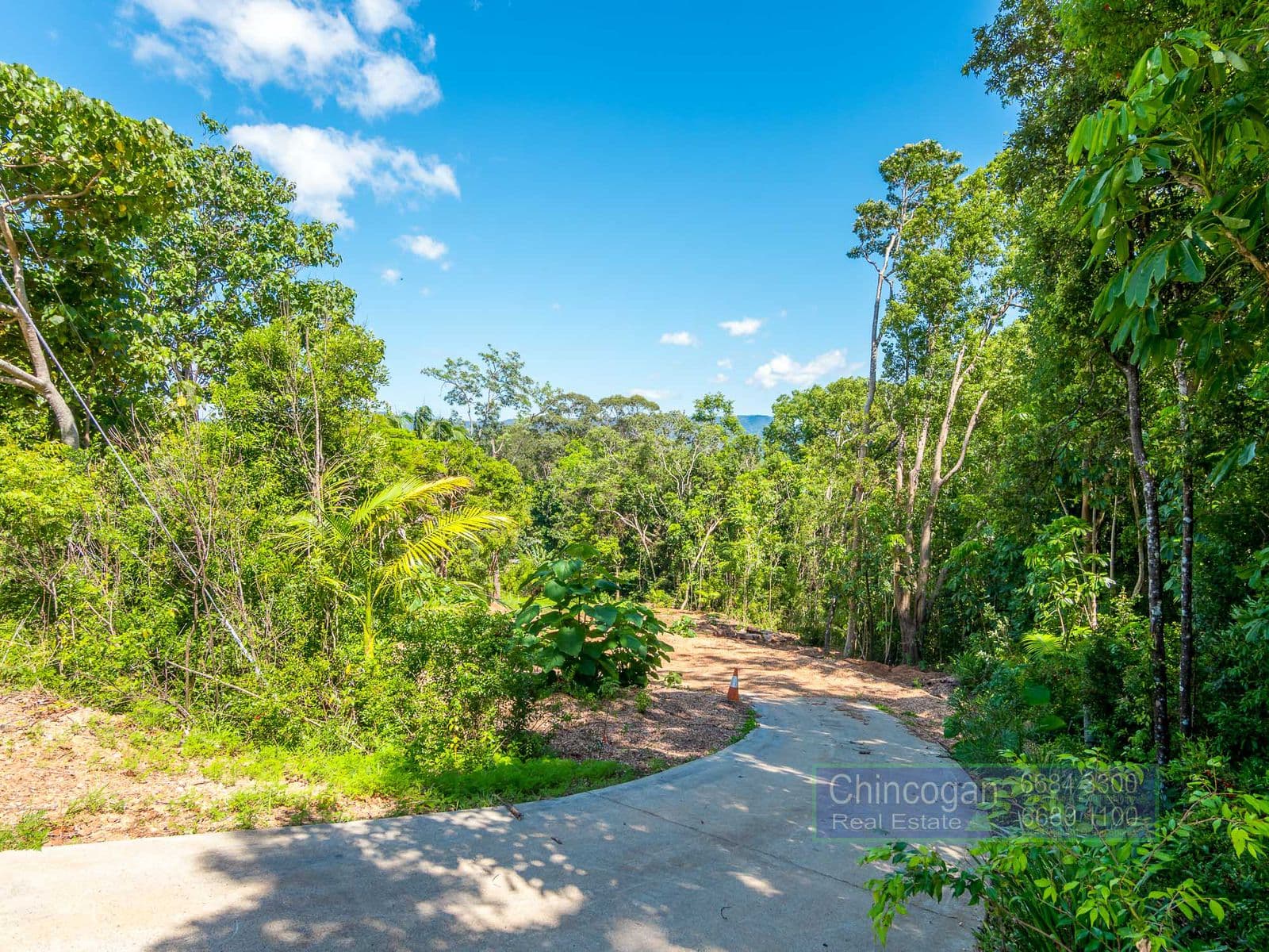 16A Azalea Street, Mullumbimby, NSW, Mullumbimby - Thumbnail 2