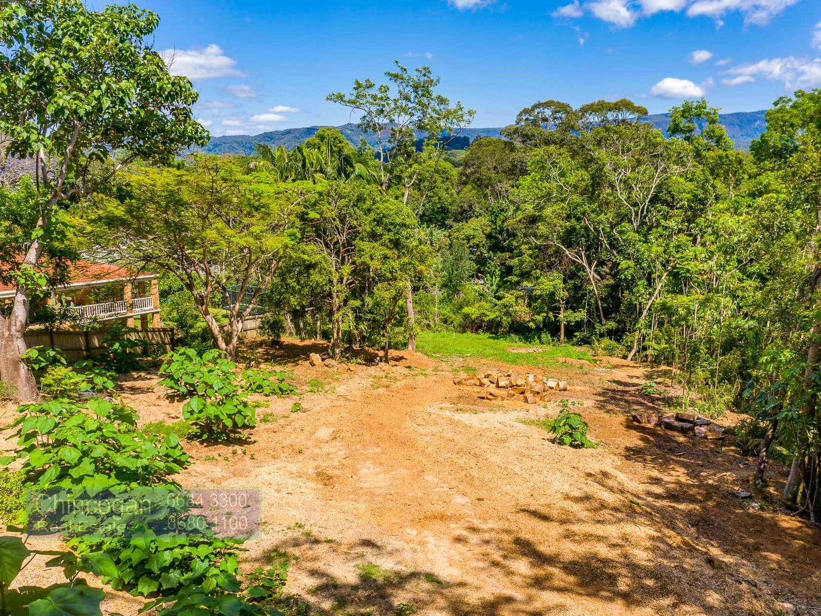16A Azalea Street, Mullumbimby, NSW, Mullumbimby - Thumbnail 4