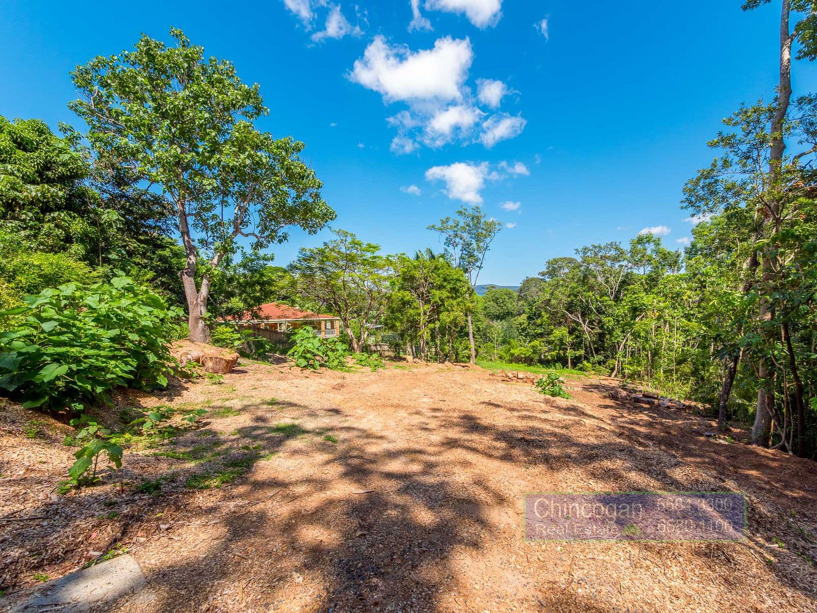 16A Azalea Street, Mullumbimby, NSW, Mullumbimby - Thumbnail 5