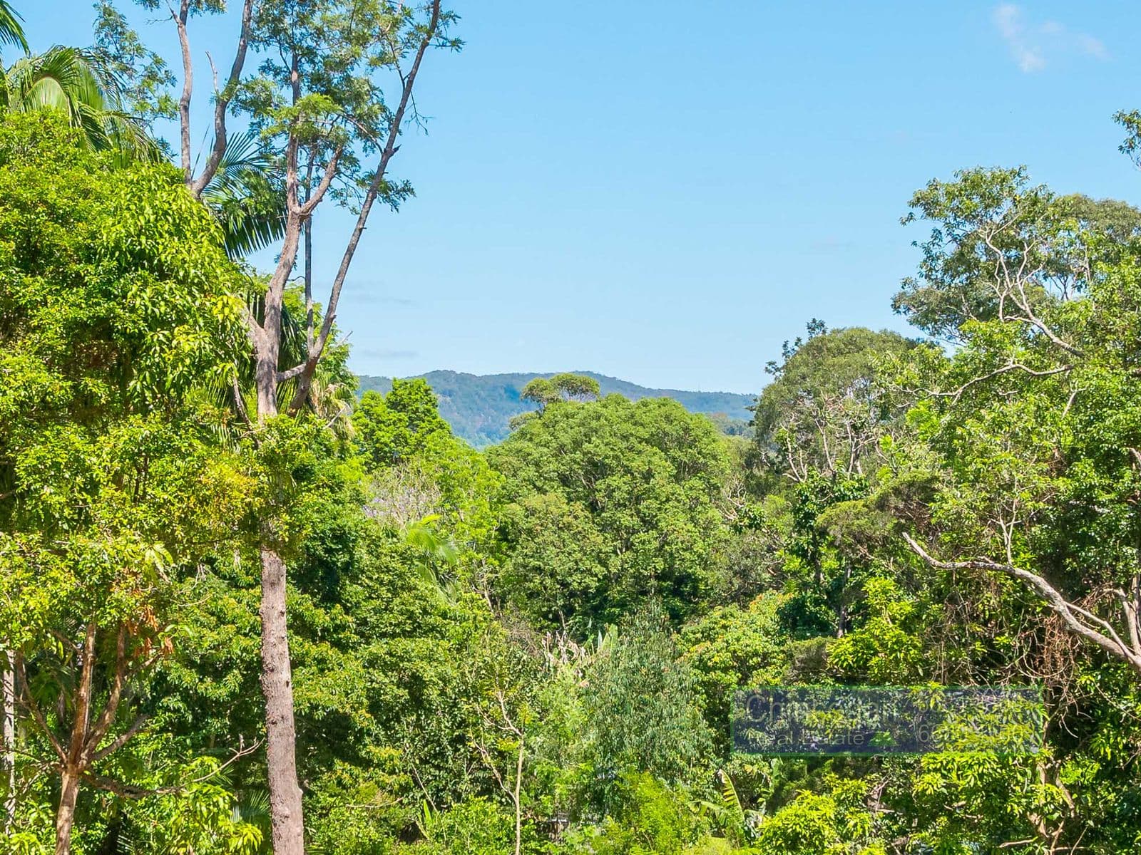 16A Azalea Street, Mullumbimby, NSW, Mullumbimby - Thumbnail 6