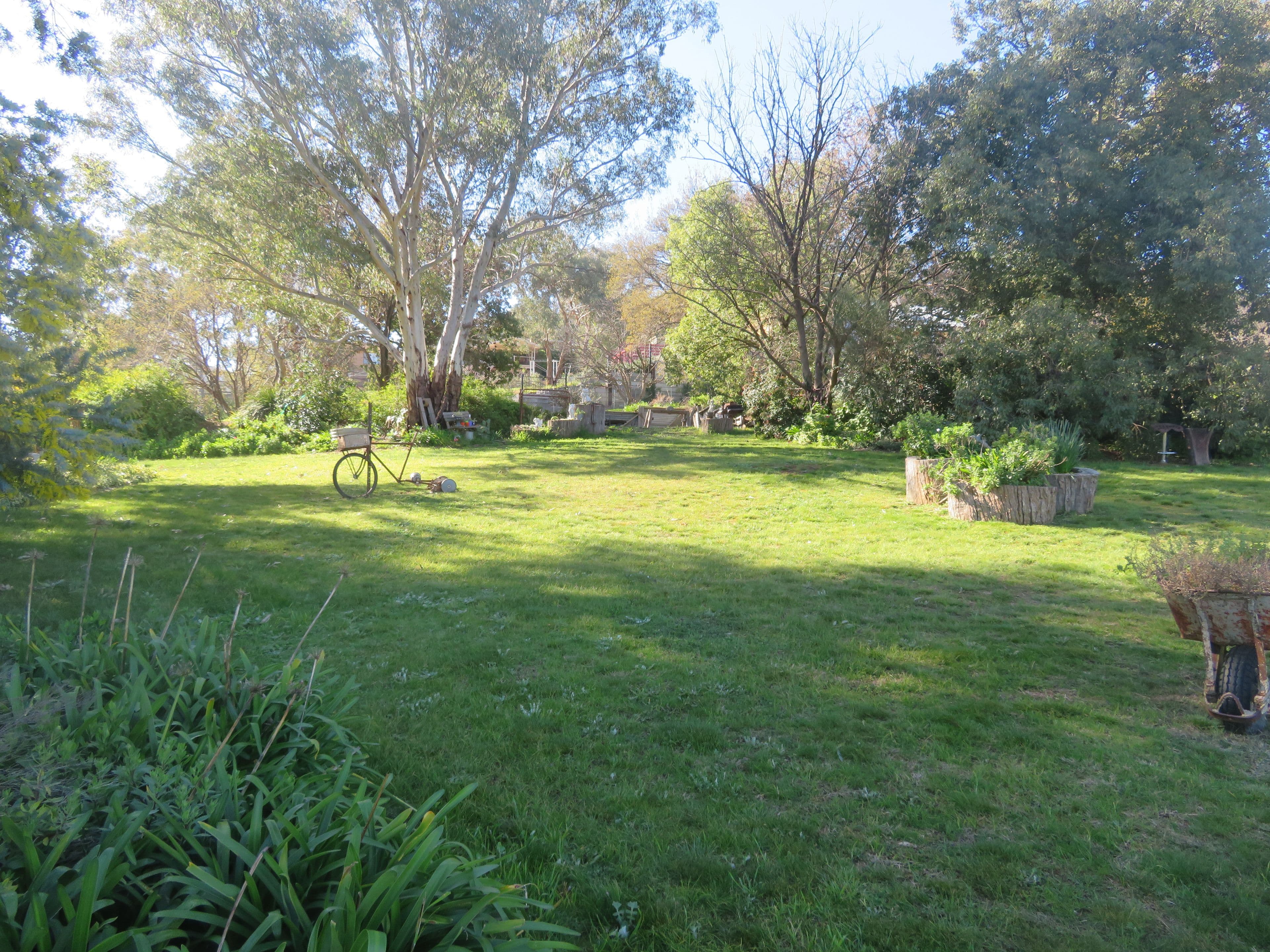 91 Punch Street, Gundagai NSW 2722, Gundagai - Thumbnail 4