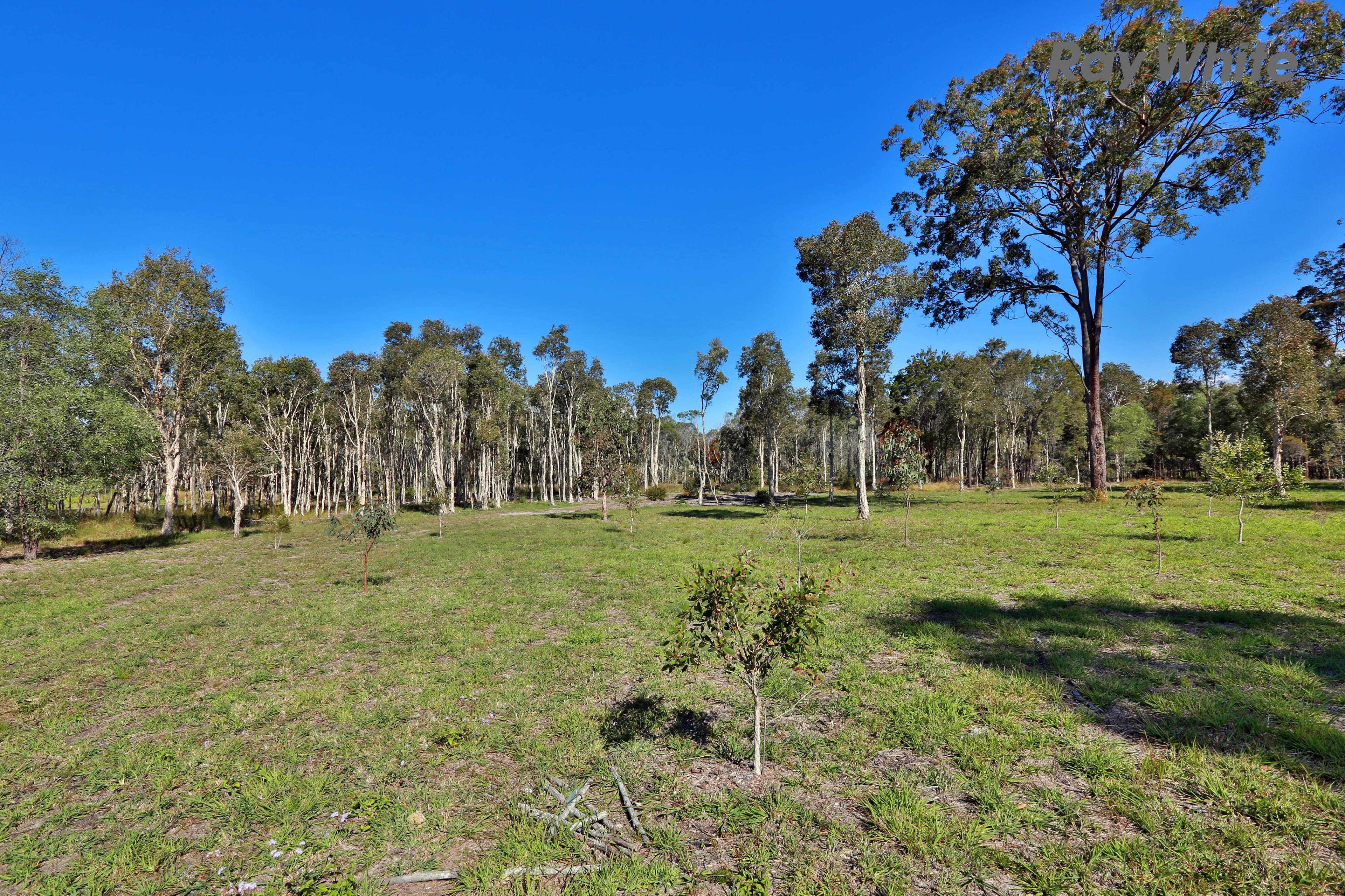 60 Korsman Drive, Thornlands QLD 4164, Thornlands - Thumbnail 2