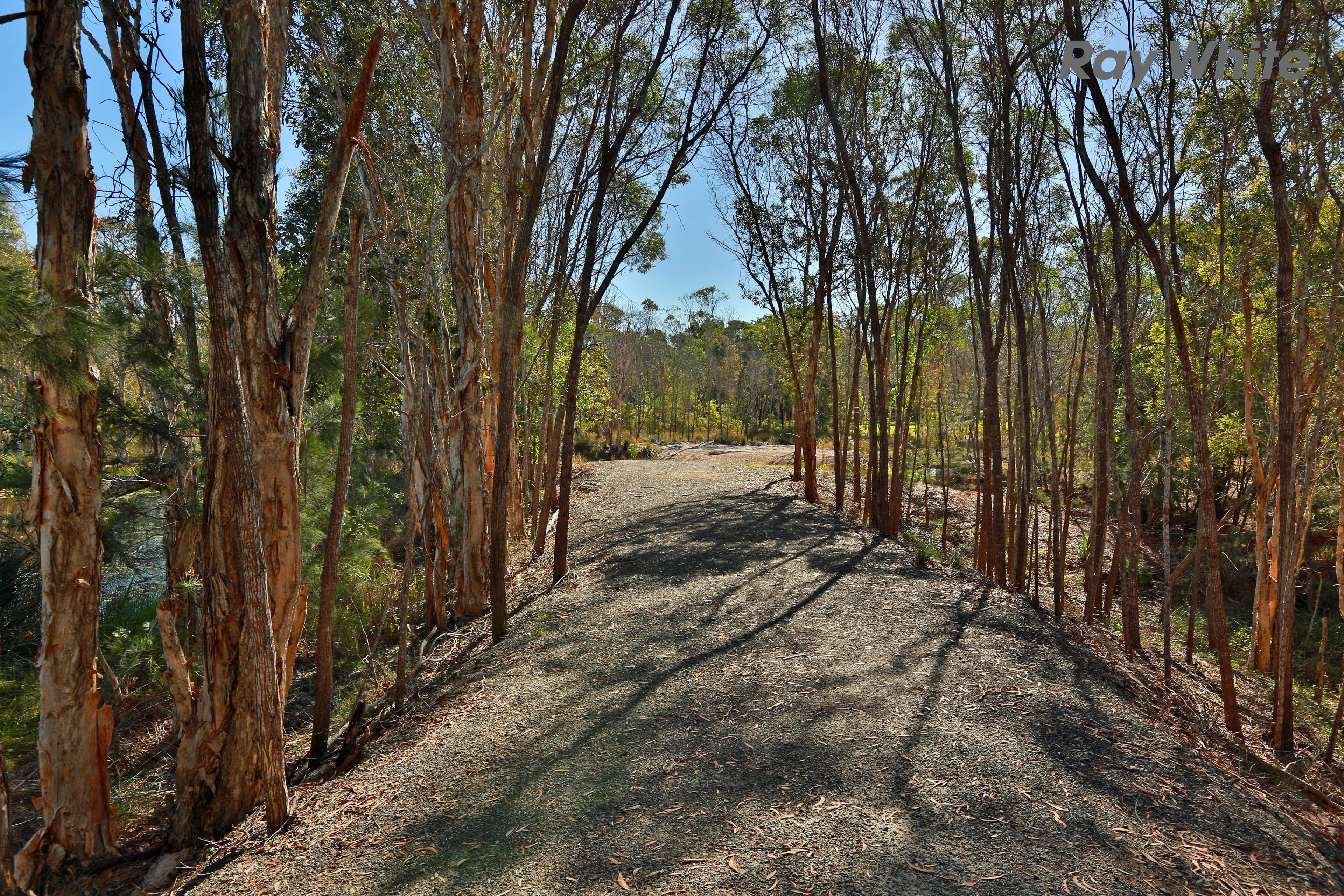 60 Korsman Drive, Thornlands QLD 4164, Thornlands - Thumbnail 4