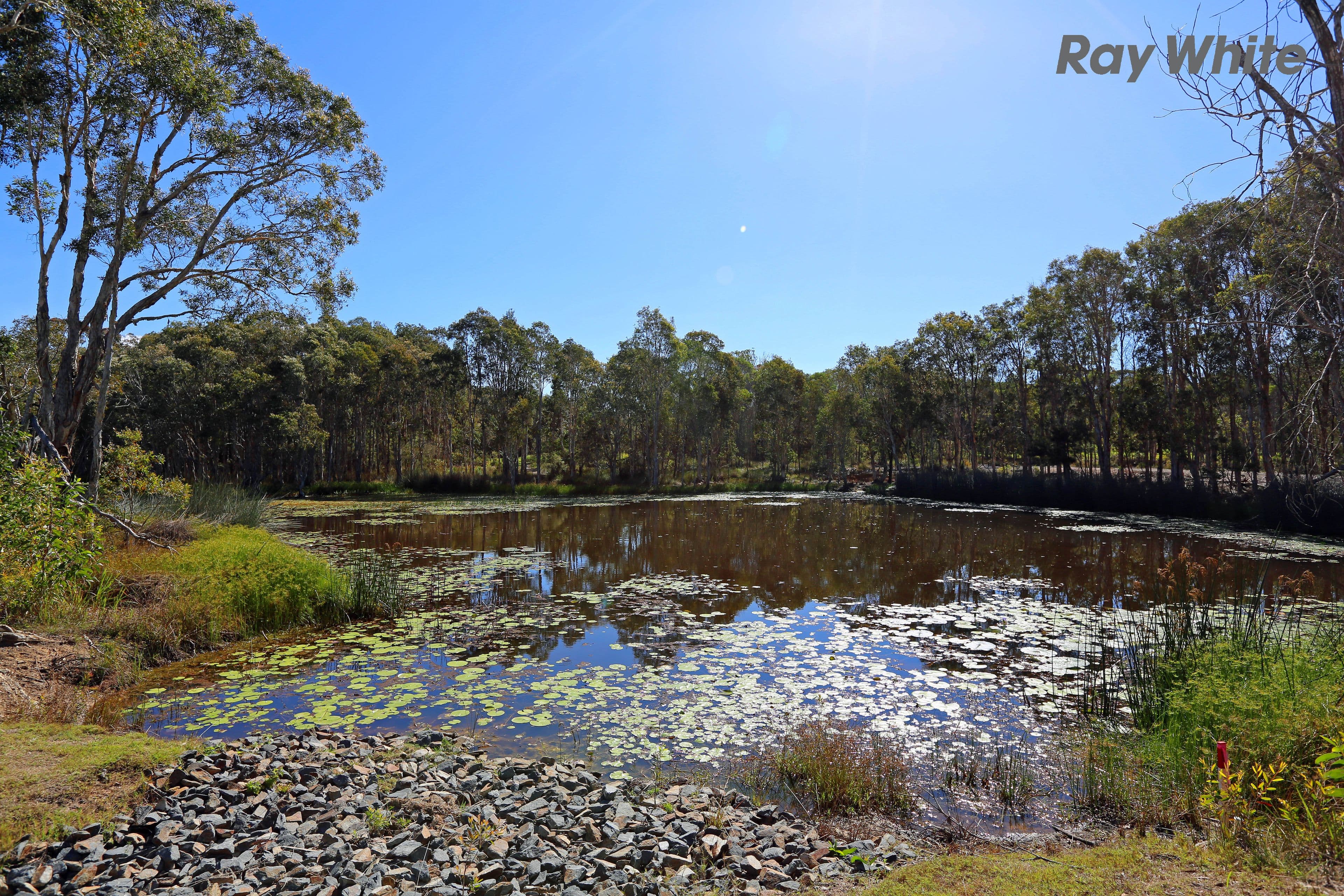 60 Korsman Drive, Thornlands QLD 4164, Thornlands - Thumbnail 6