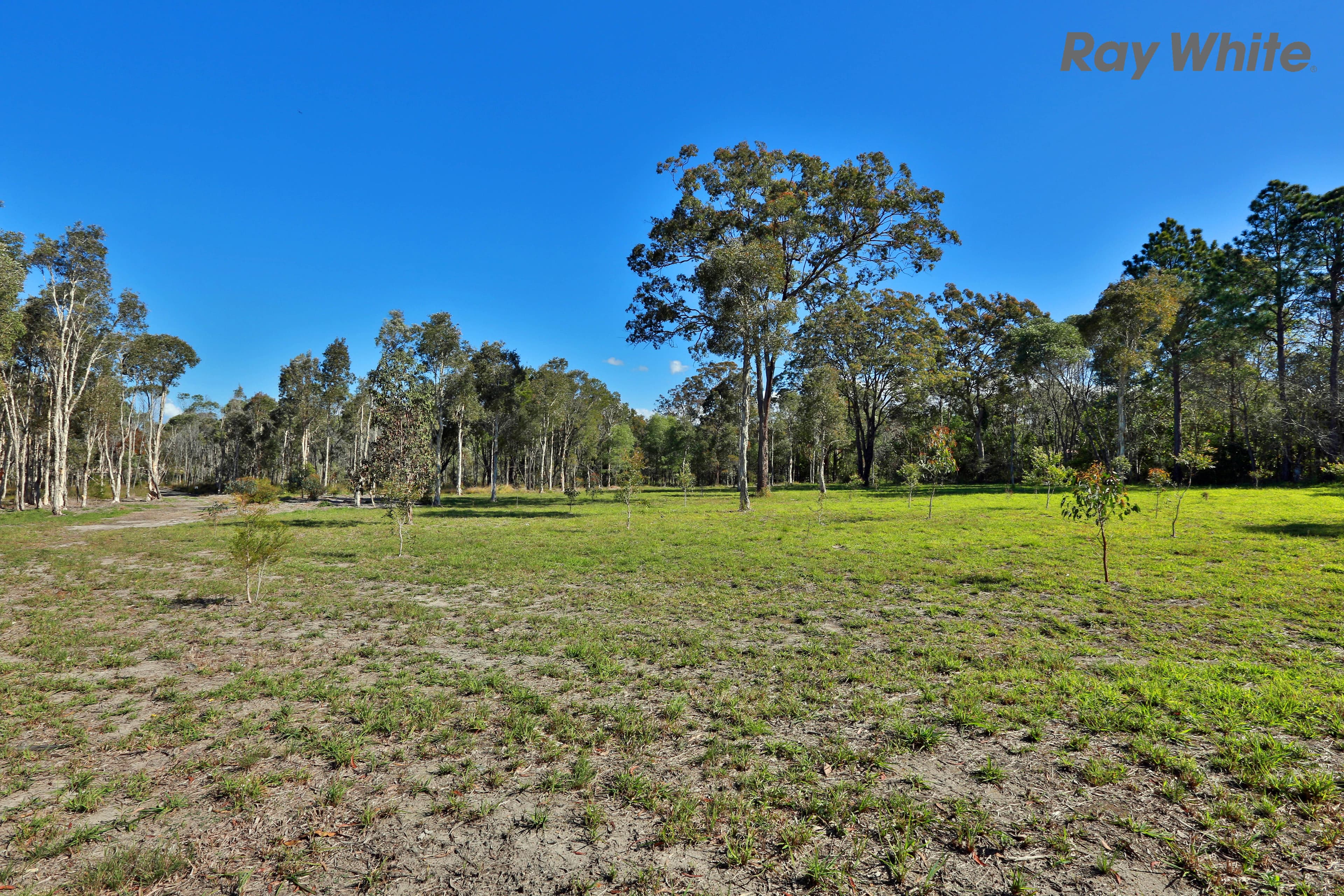 60 Korsman Drive, Thornlands QLD 4164, Thornlands - Thumbnail 7