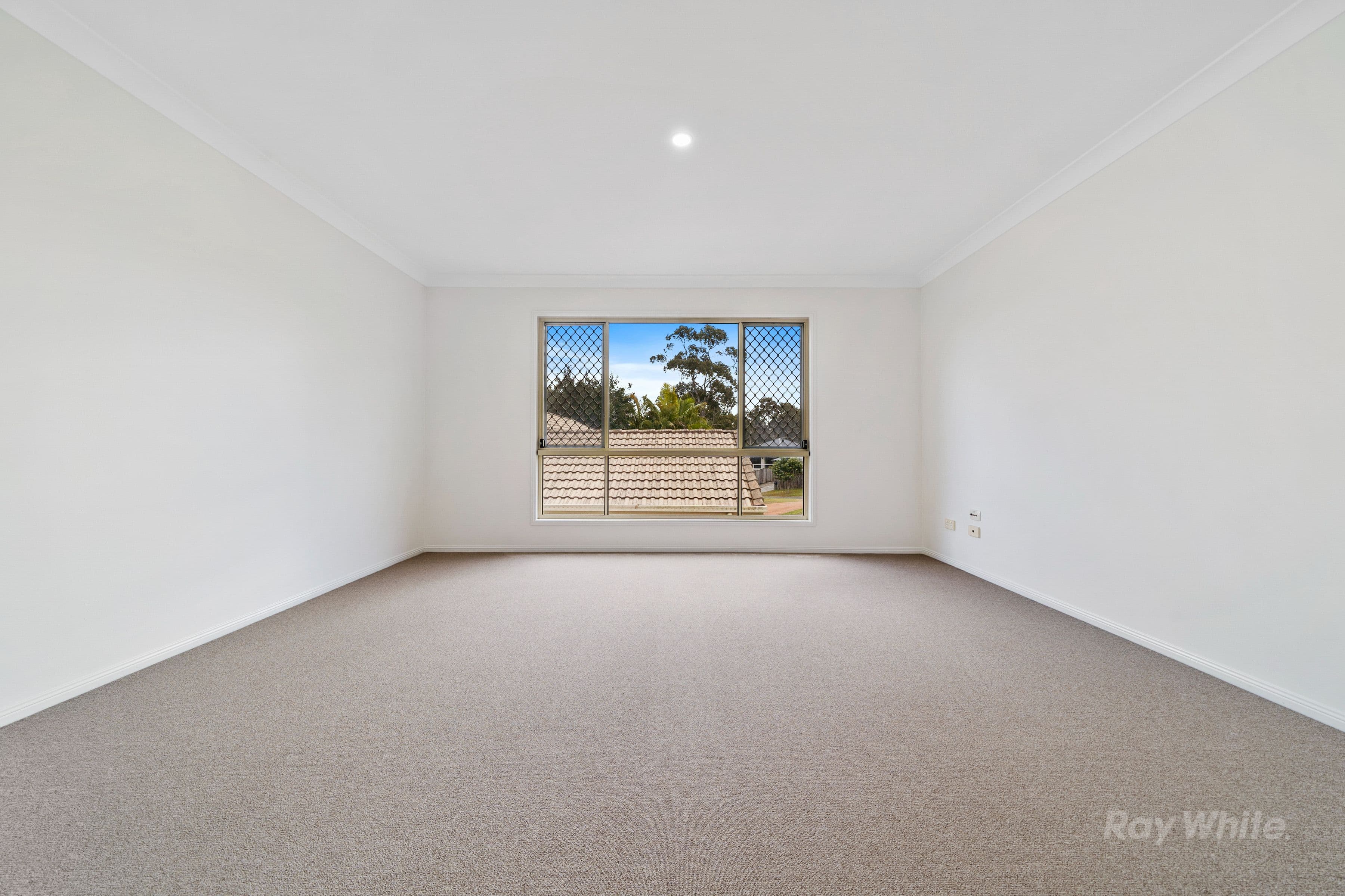 16 Mino Street, Springfield QLD 4300, Springfield - Thumbnail 5
