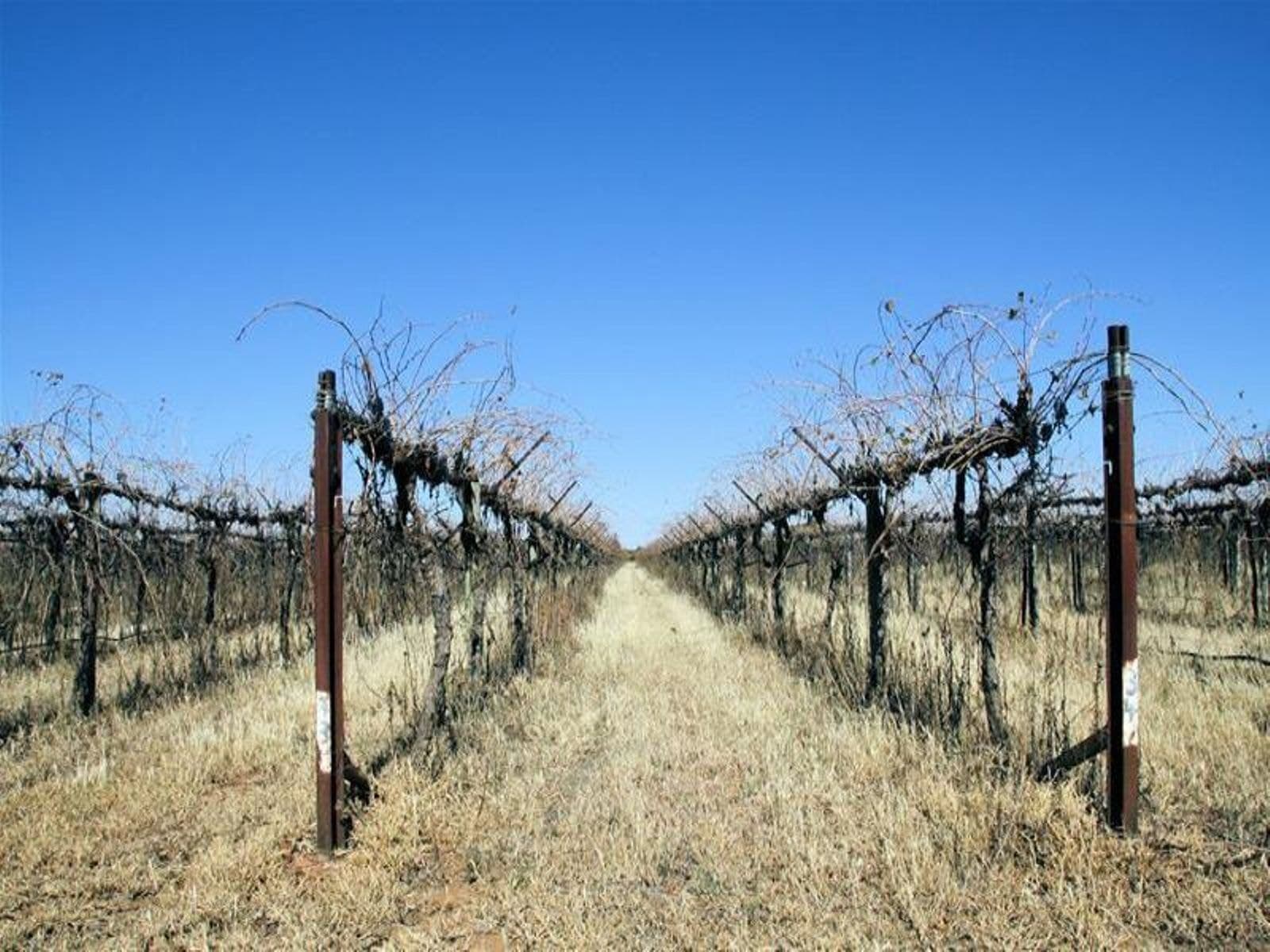 Lot 3 Yelta Road, Merbein - Thumbnail 5