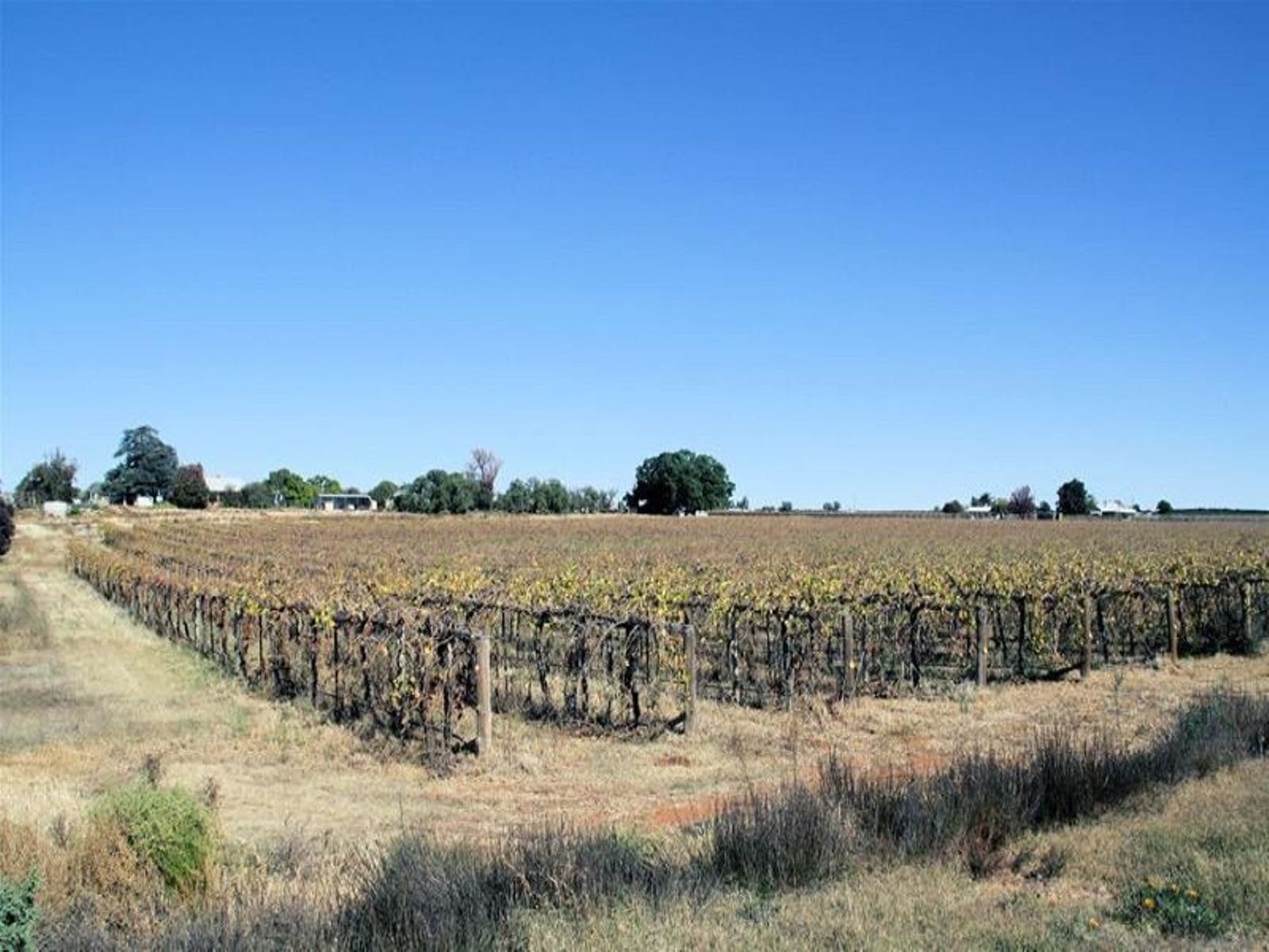 Lot 3 Yelta Road, Merbein - Thumbnail 7
