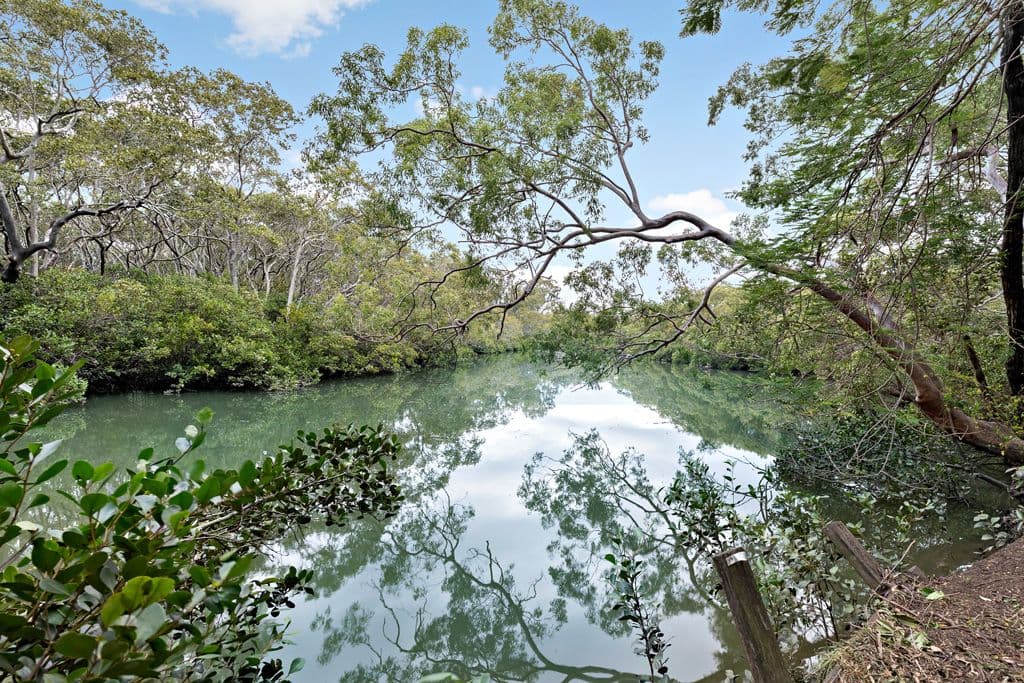 50 Utalong Street, Deagon QLD 4017, Deagon - Thumbnail 2