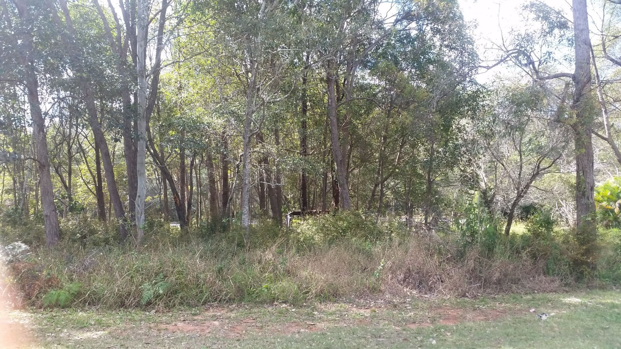 7 Peronne Avenue, Russell Island QLD 4184, Russell Island - Thumbnail 2