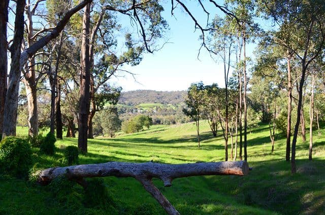 55 Pioneer Drive, BINDOON WA 6502, Bindoon - Thumbnail 3