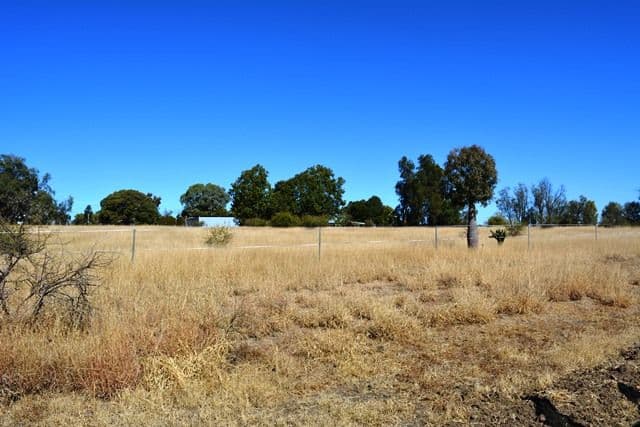 1 Garden Street, Tambo QLD 4478, Tambo - Thumbnail 3